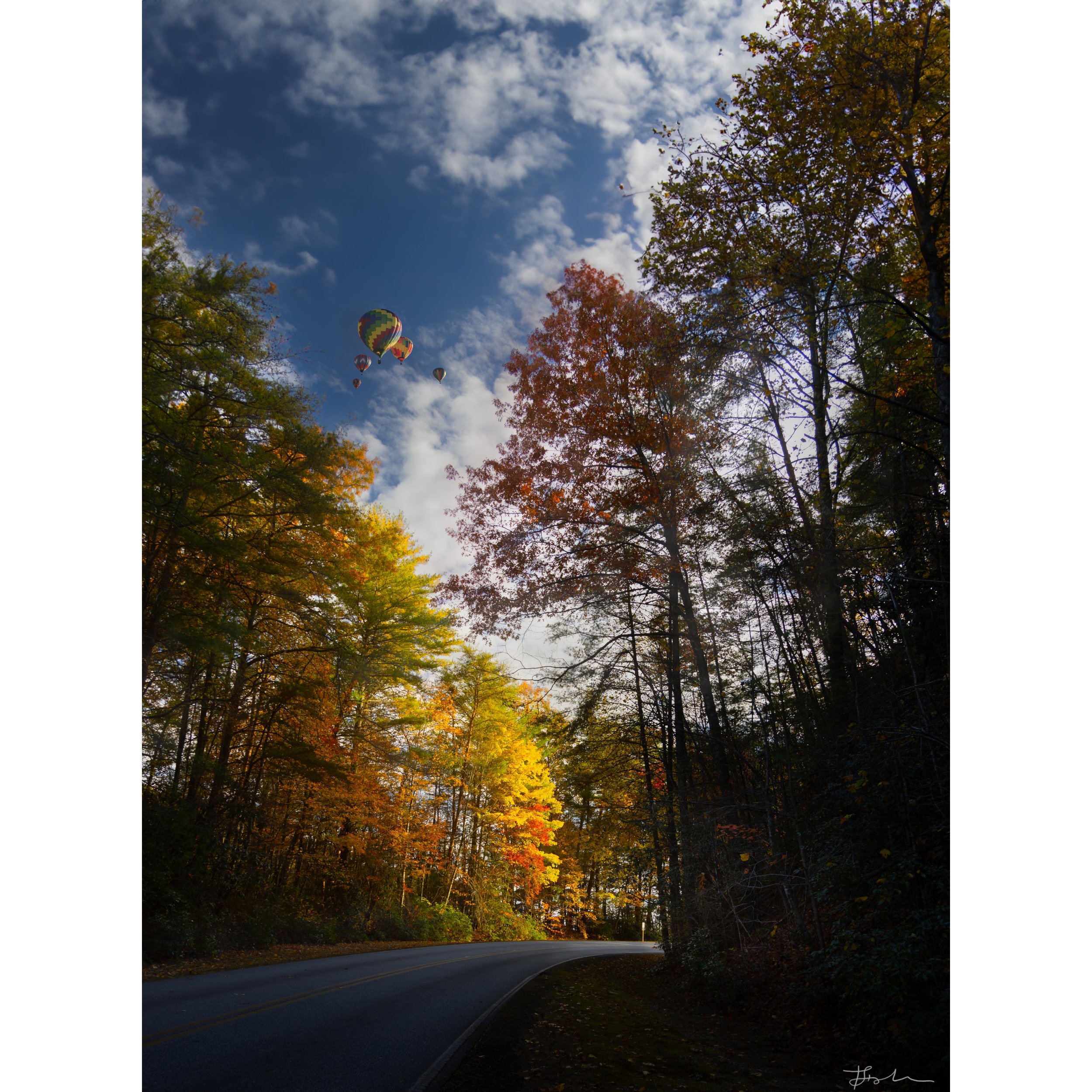 038-The Road Less Traveled_SQUARE.jpg