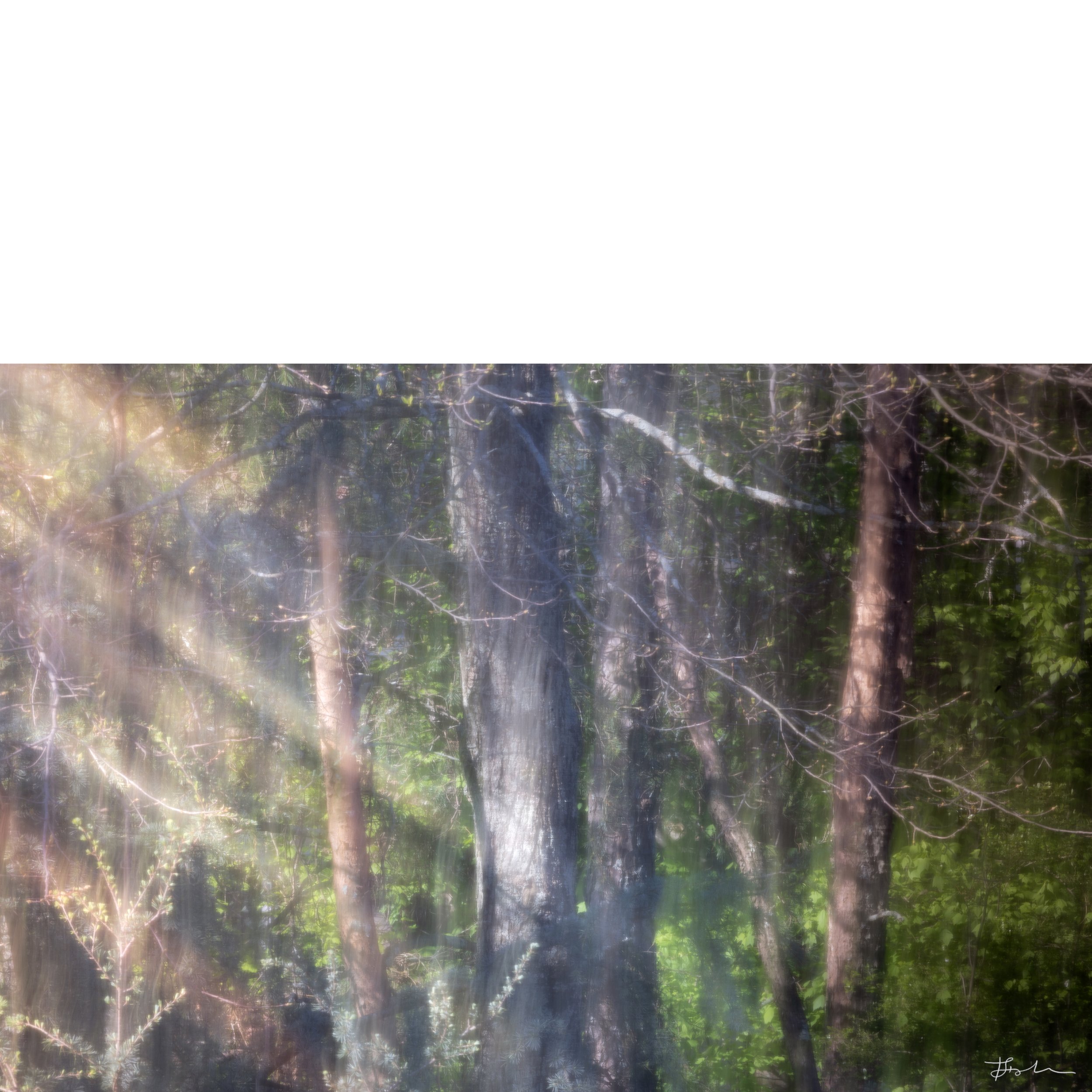 046-Chasing the Shadows_SQ-B.jpg