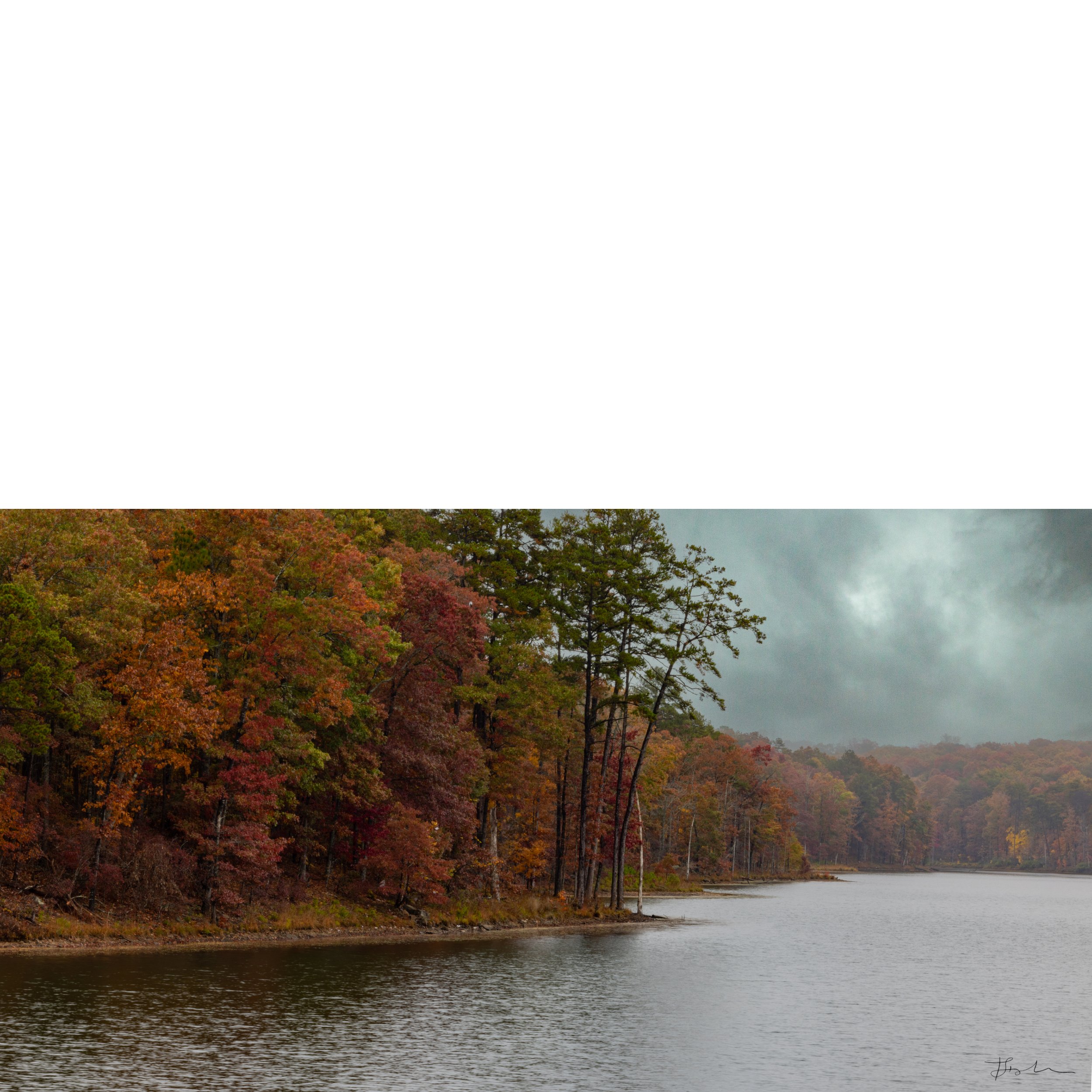 020-Moods of Autumn_SQ-B.jpg