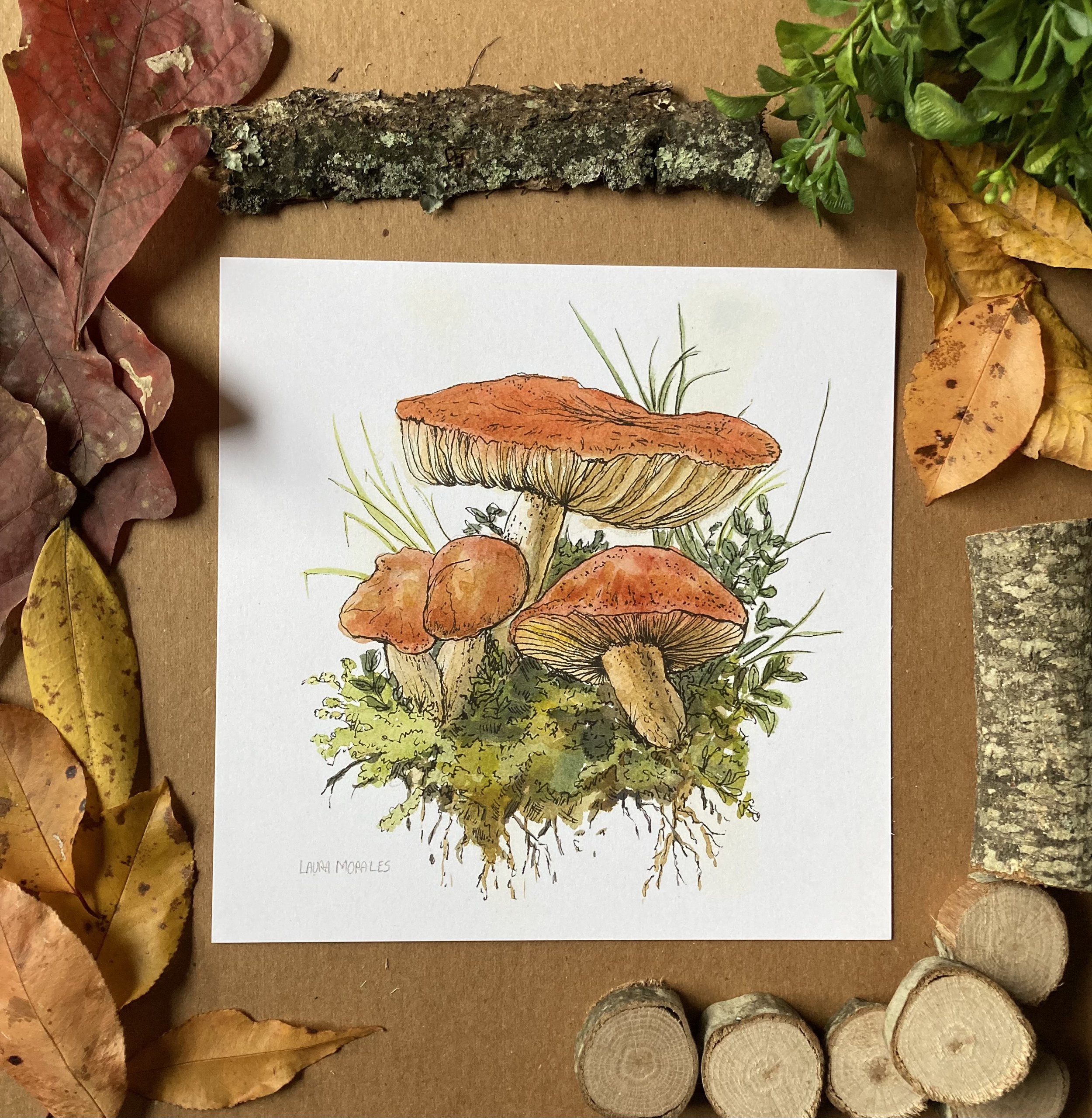 "Russula Emetica" 8x8 Print