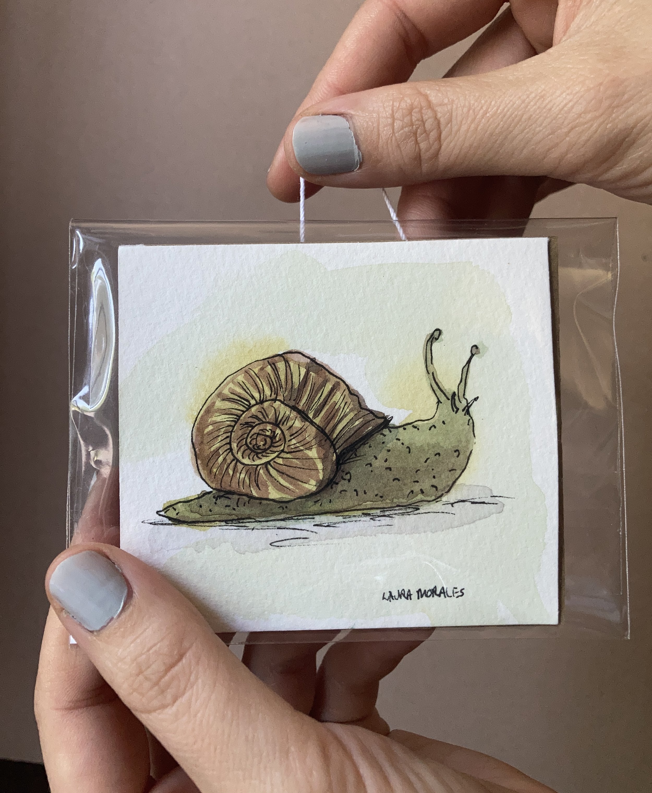 Snail #2