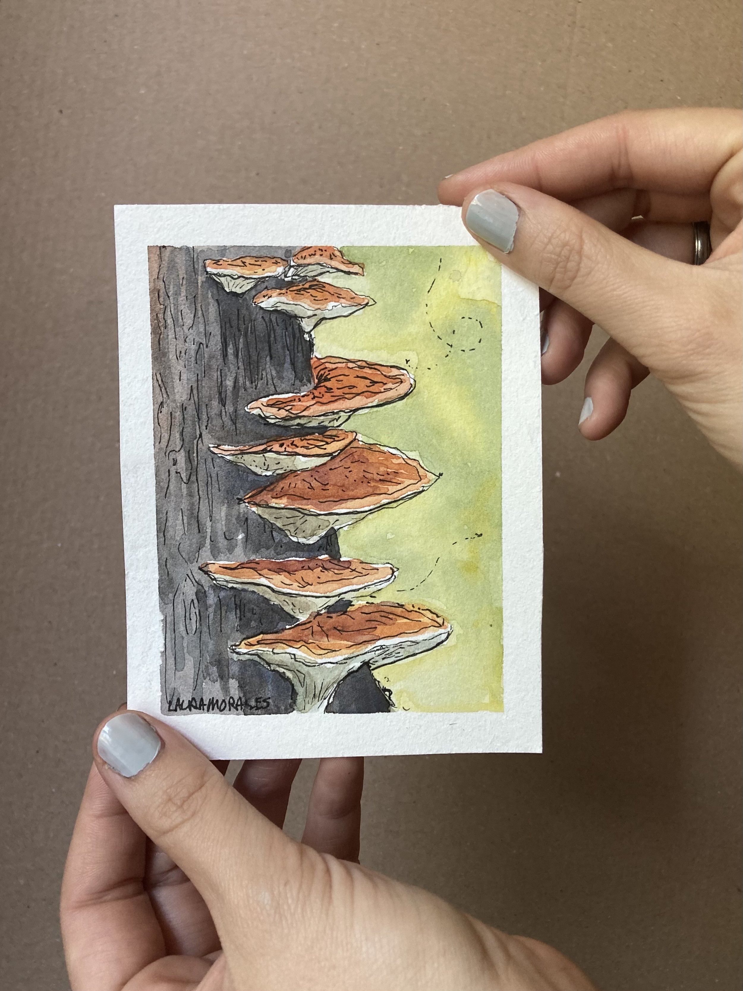 "Reishi"