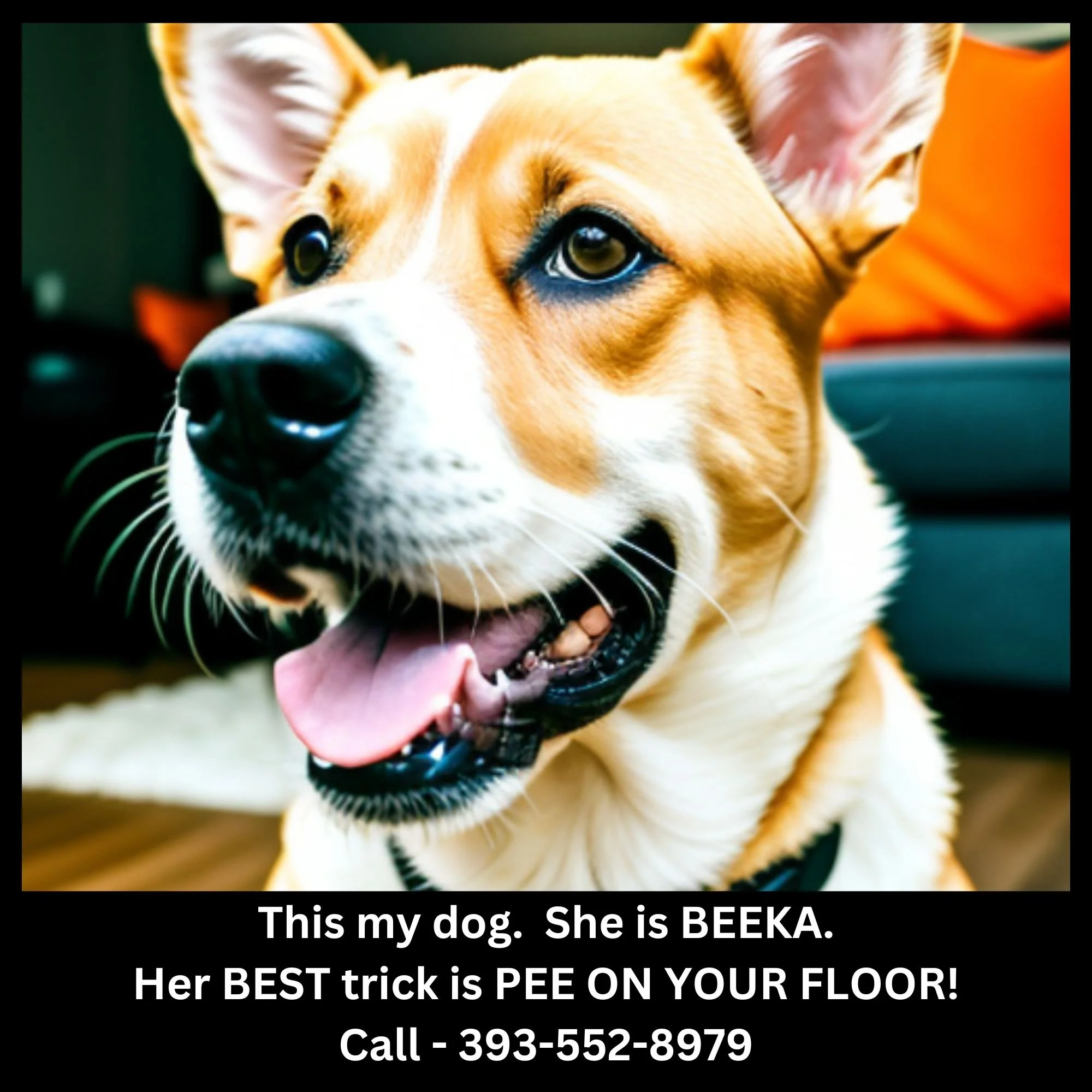 This My Dog - She Can Pee on Your Floor.