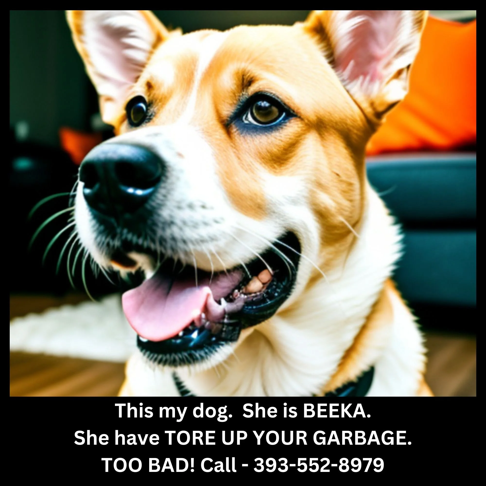 This My Dog - She Have Tore Up Your Garbage
