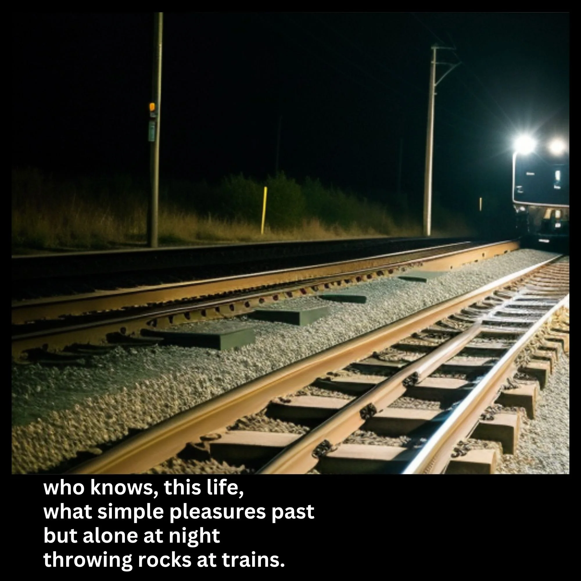 beef-pic-rocks-at-trains.jpg