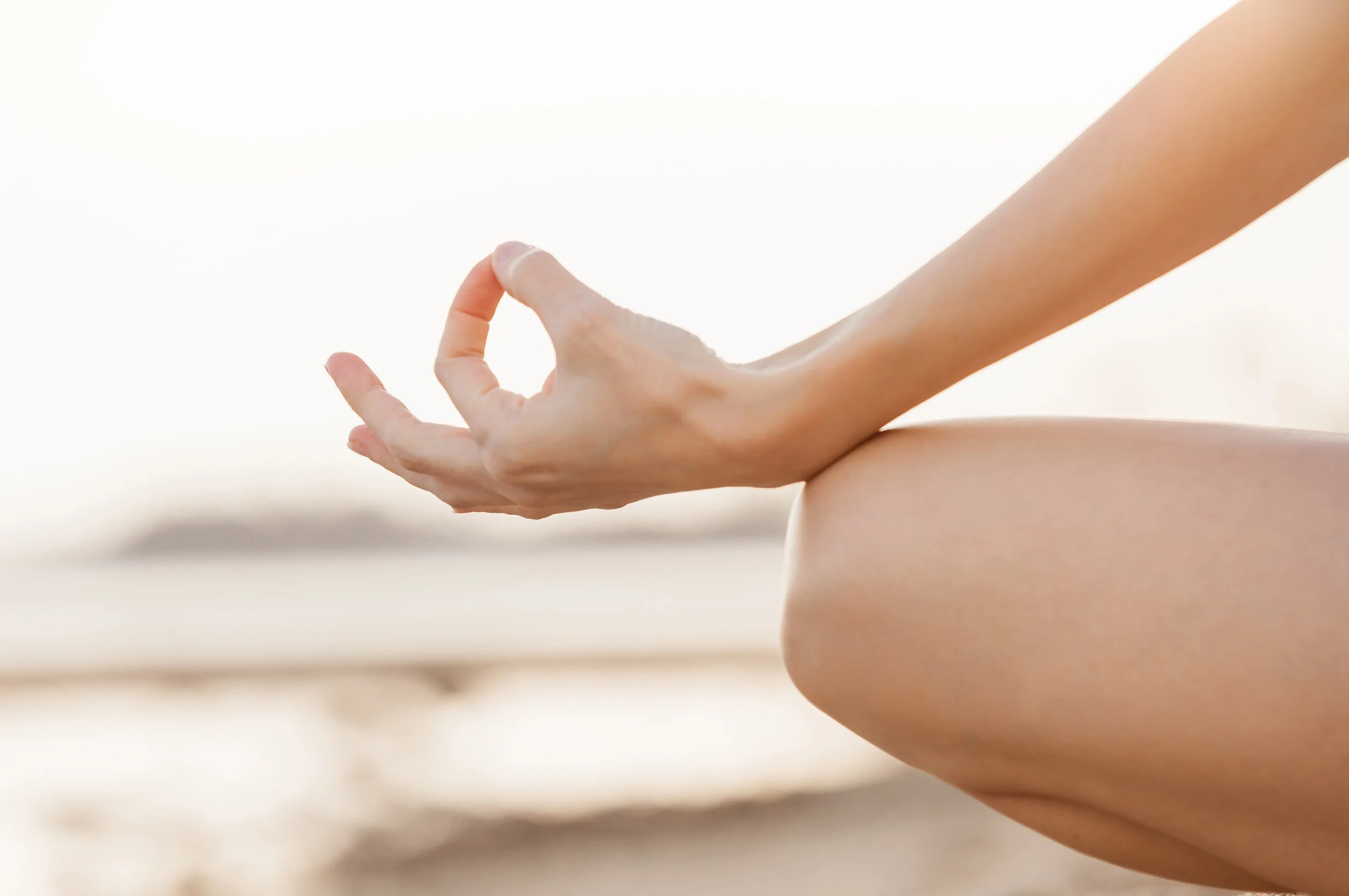 Spotlight on: Wellness