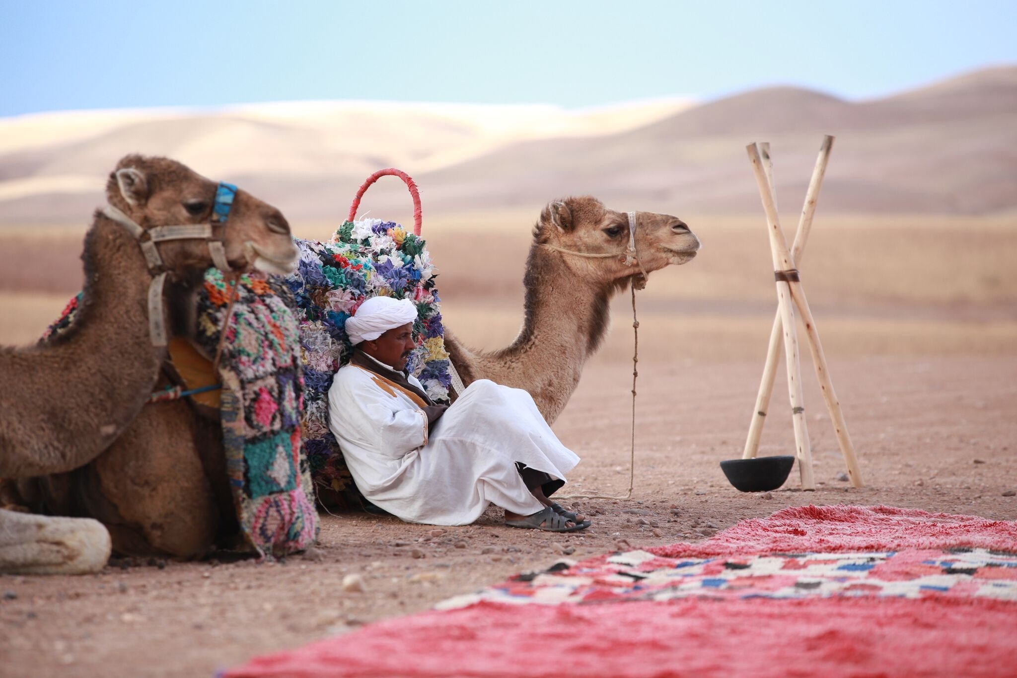 camel and rider in desert