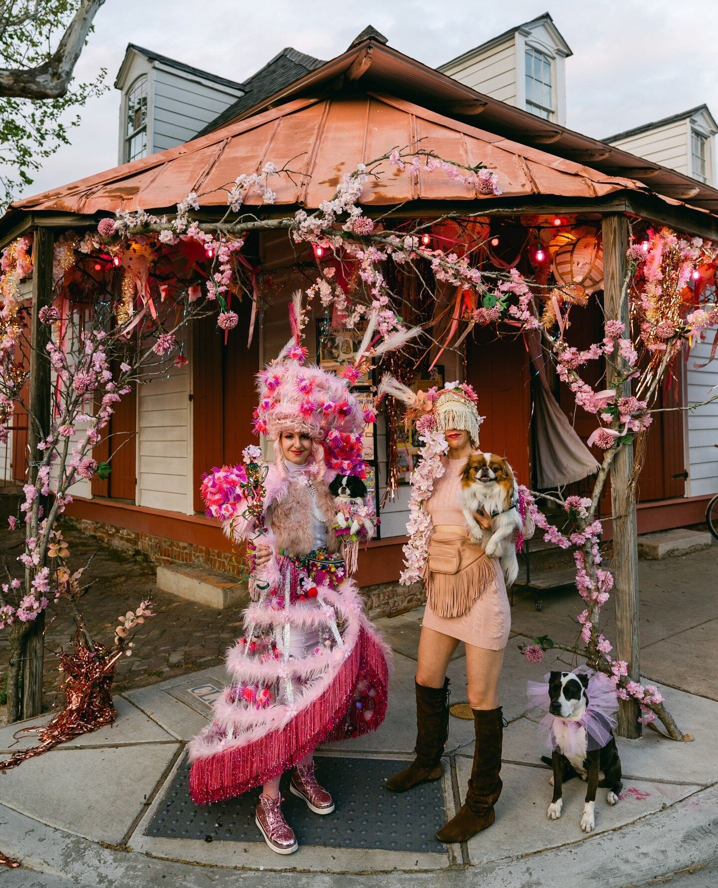 Looking for a back drop for your Easter photos? Visit our Cherry Blossom Forest at @the_tigermen_den 🌸 We made this house float over the course of 3 weeks of Winter Camp to celebrate the first birthday of Princess Supernova and Sookie, our Japanese 