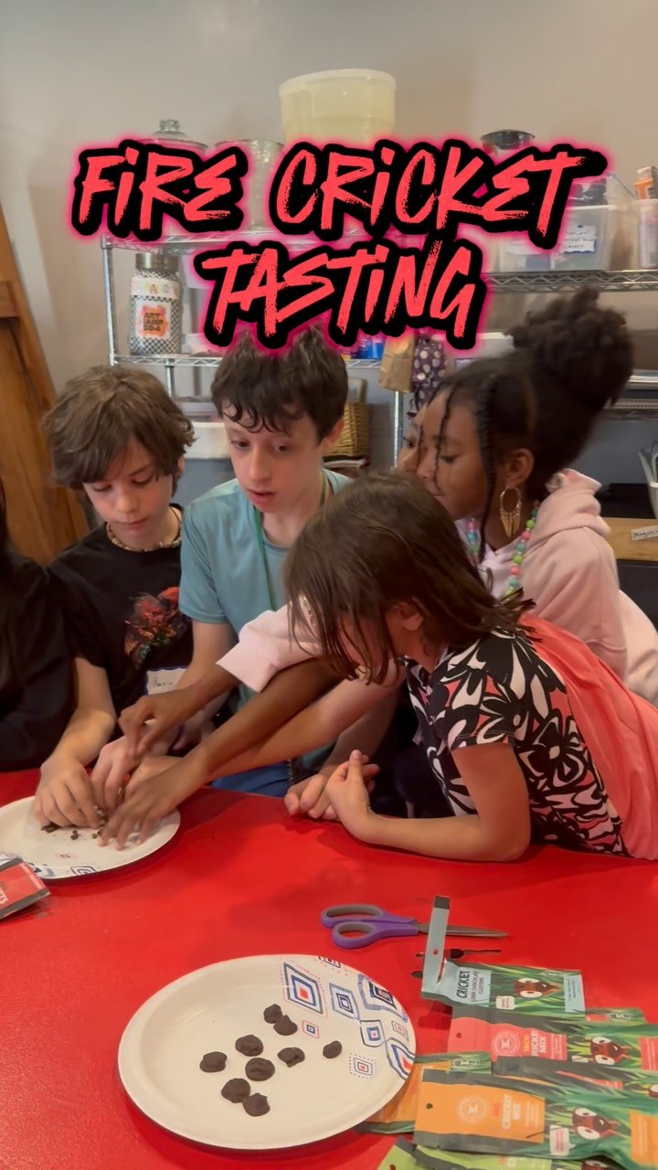Our students had an unforgettable time exploring the world of insect cuisine and environmental sustainability with the amazing Chef Yoon from @brooklynbugs π
We taste-tested FIRE and CHOCOLATE crickets (yes, really!) and then whipped up some next-l