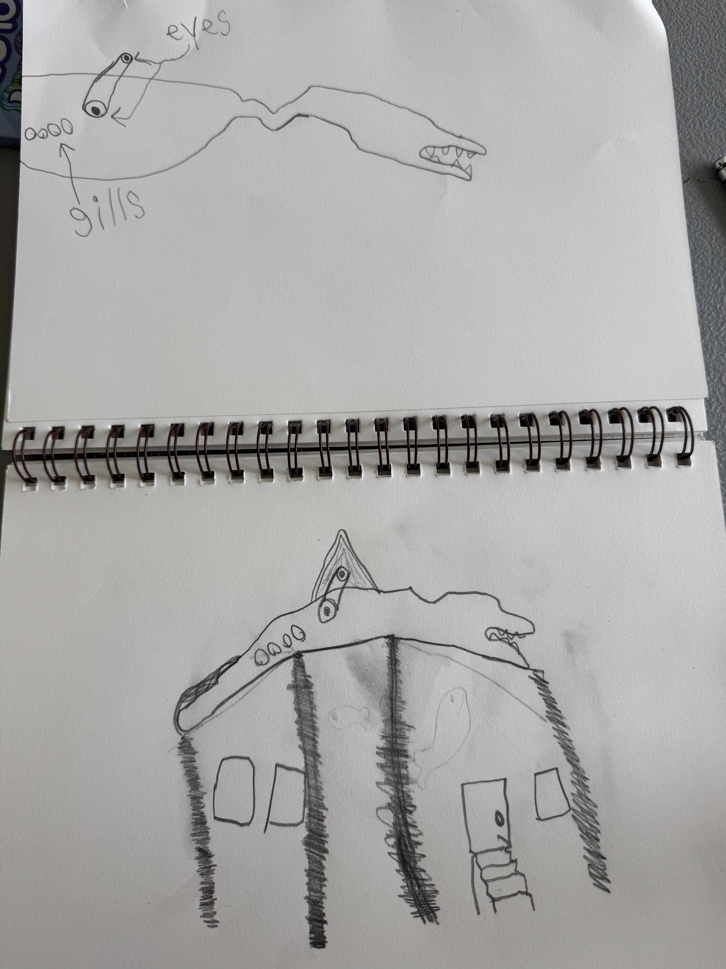 - House Float Design by Penn, "The Arctic Circle"