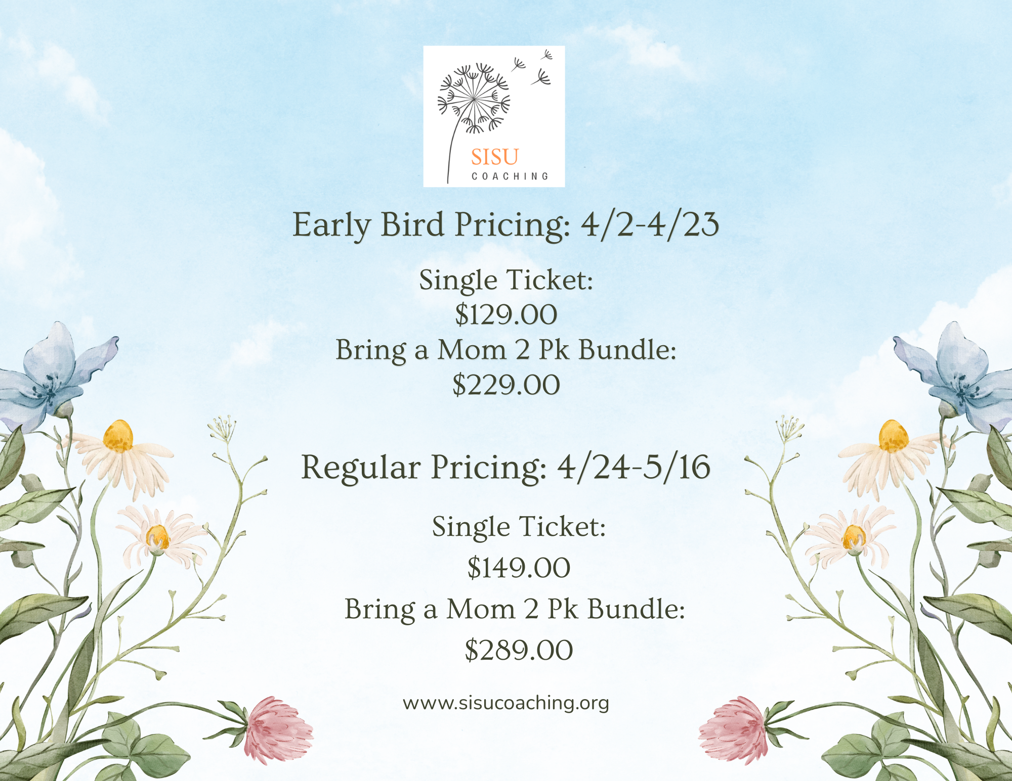 The Mother Reset Flyer pricing sheet.png