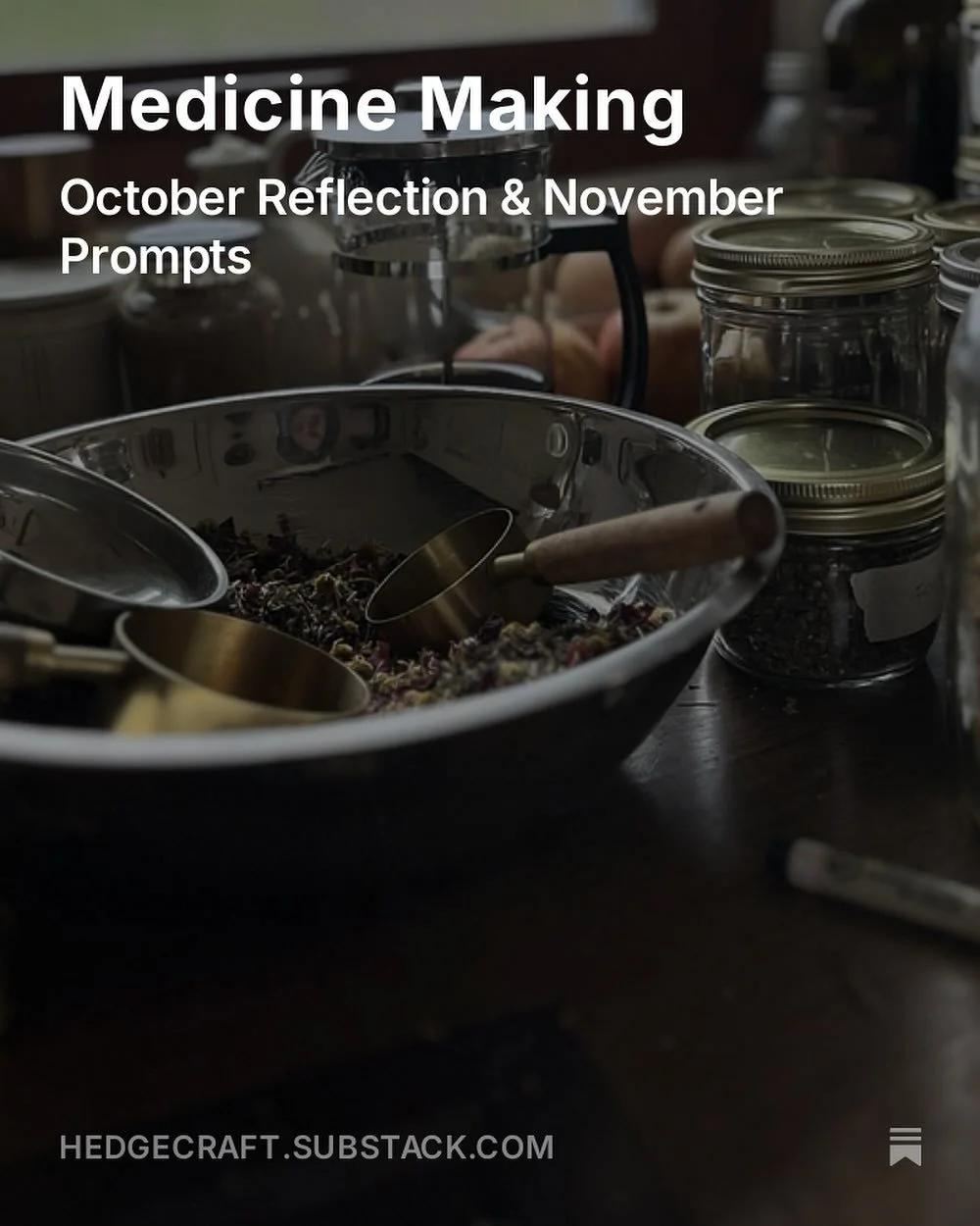 New Substack post on herbal medicine making, ancestor work, and celebrating Samhain. Link in bio