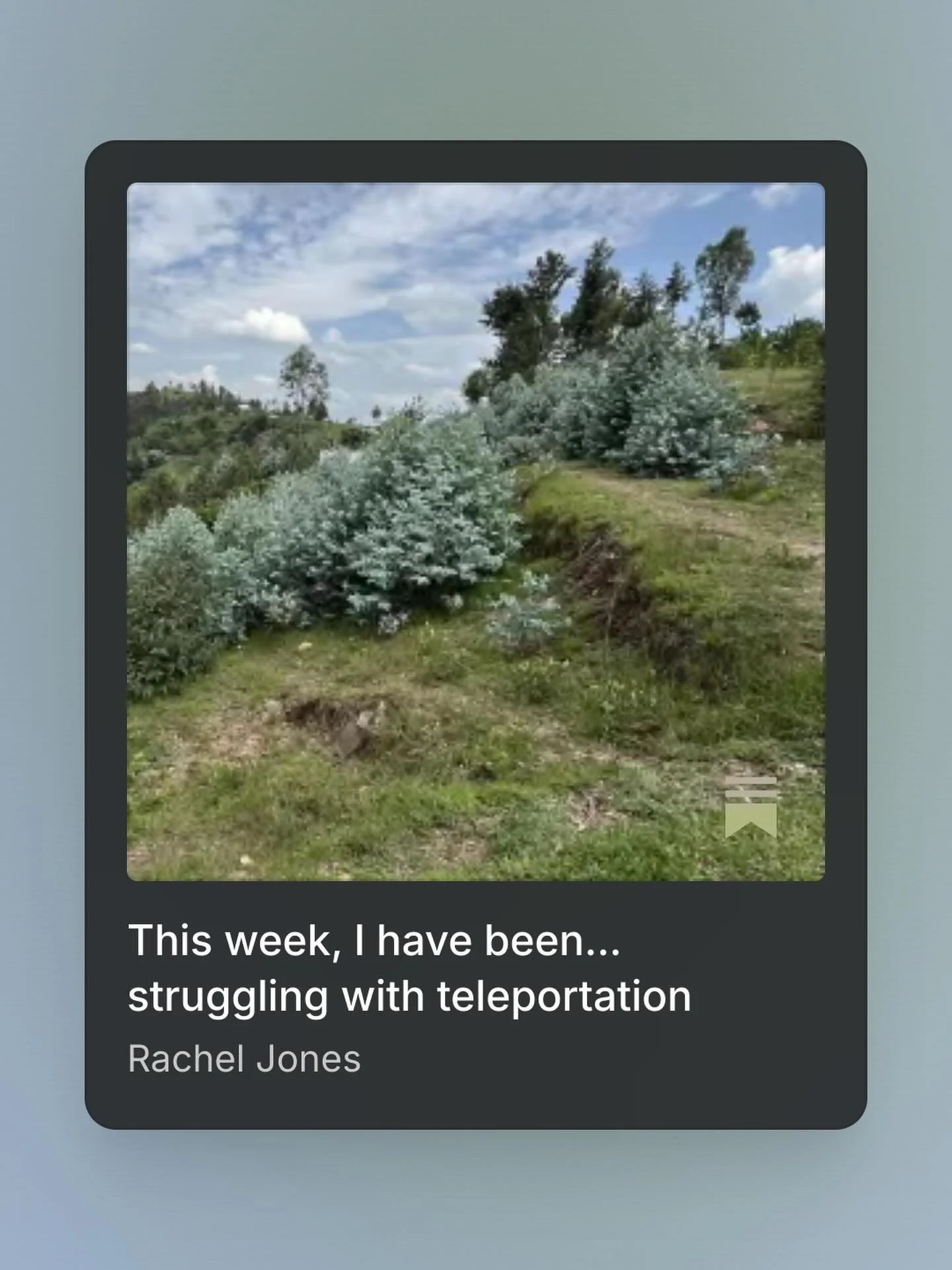 New substack post. It&rsquo;s about belonging, shape shifting, and moving through tension, times of struggle, and disconnection. I talk about the mythology around eucalyptus and sycamore trees and using them as guides during this Samhain season.