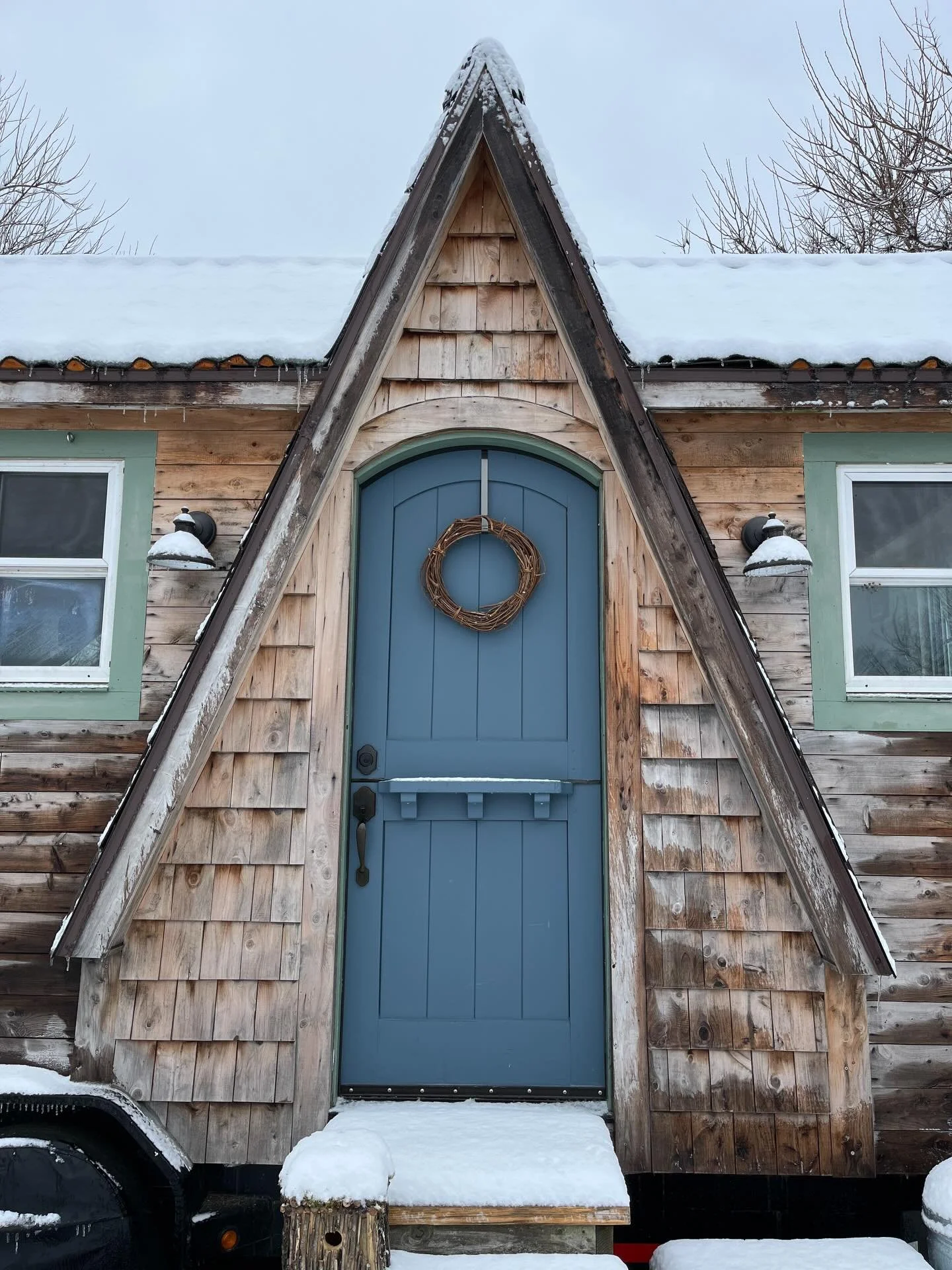 Look how cute she is! Snow looks good on her!