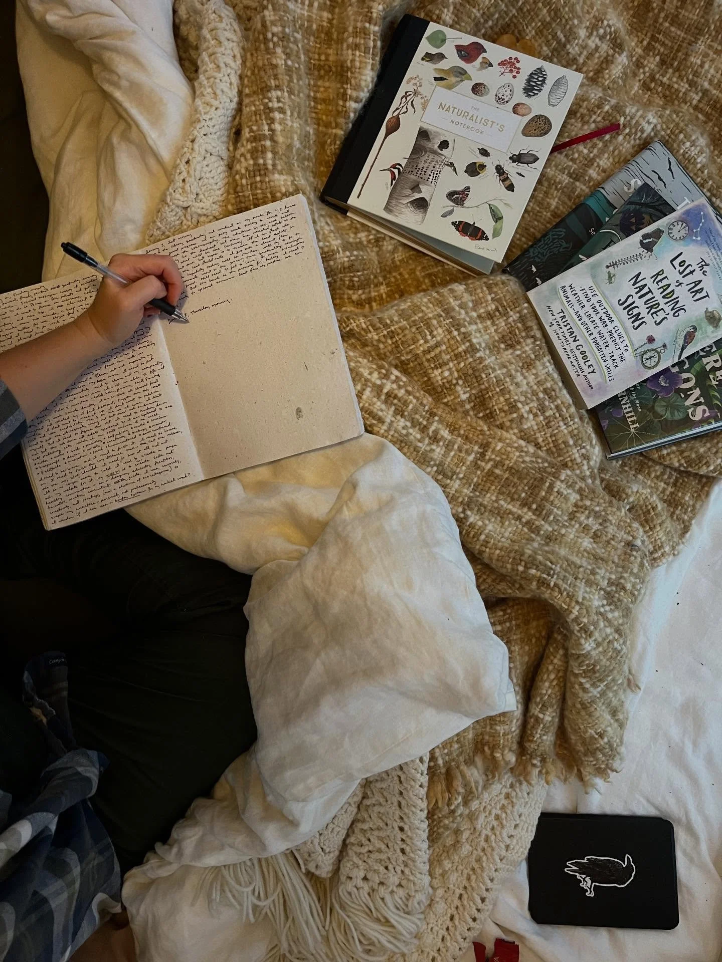 Mood board 2026. Find where I thrive, have a shit ton of fun, burn down what doesn&rsquo;t serve me/others.