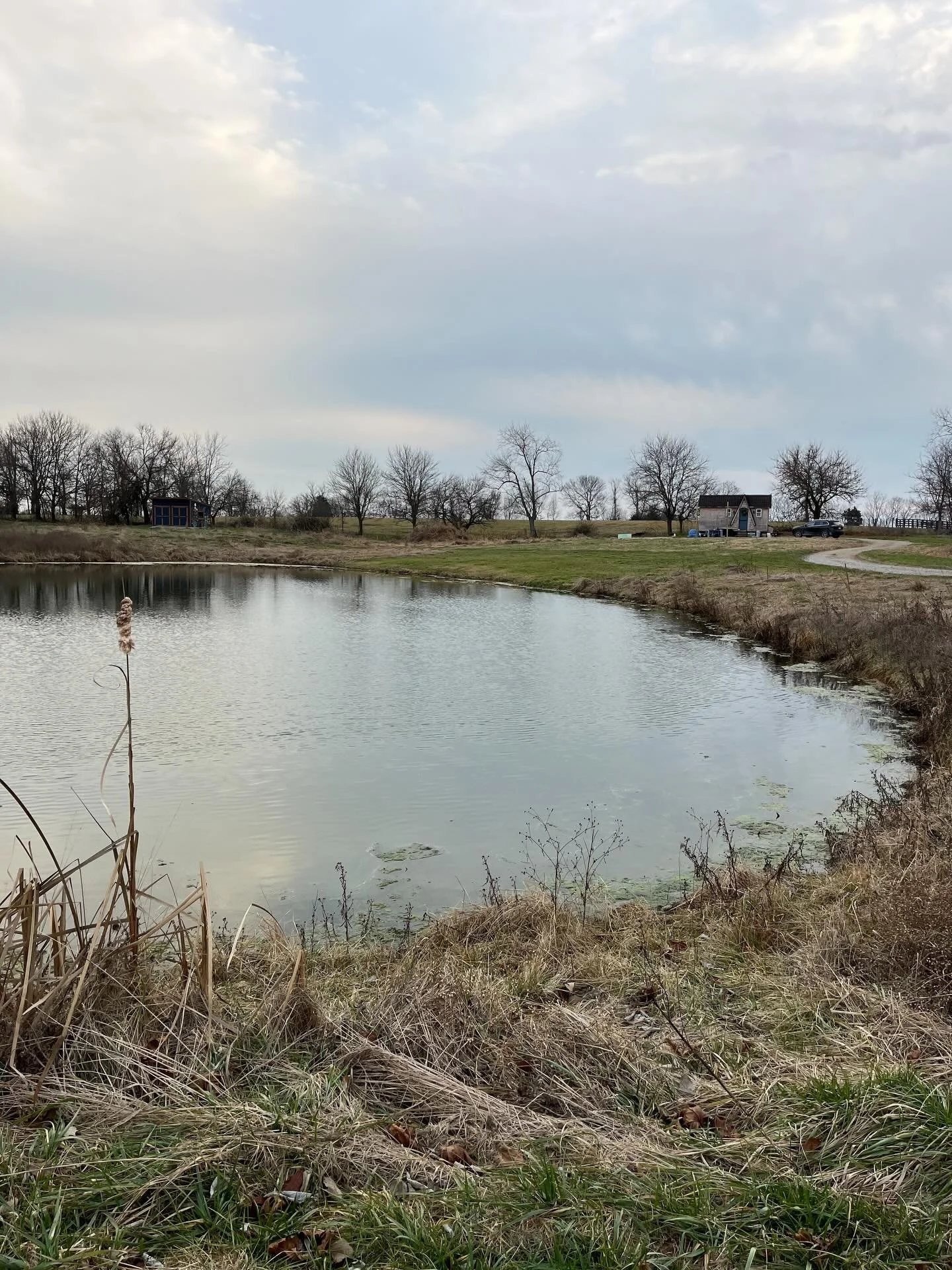 My peaceful place. Tiny home, pond, shed. It&rsquo;s doing me right.