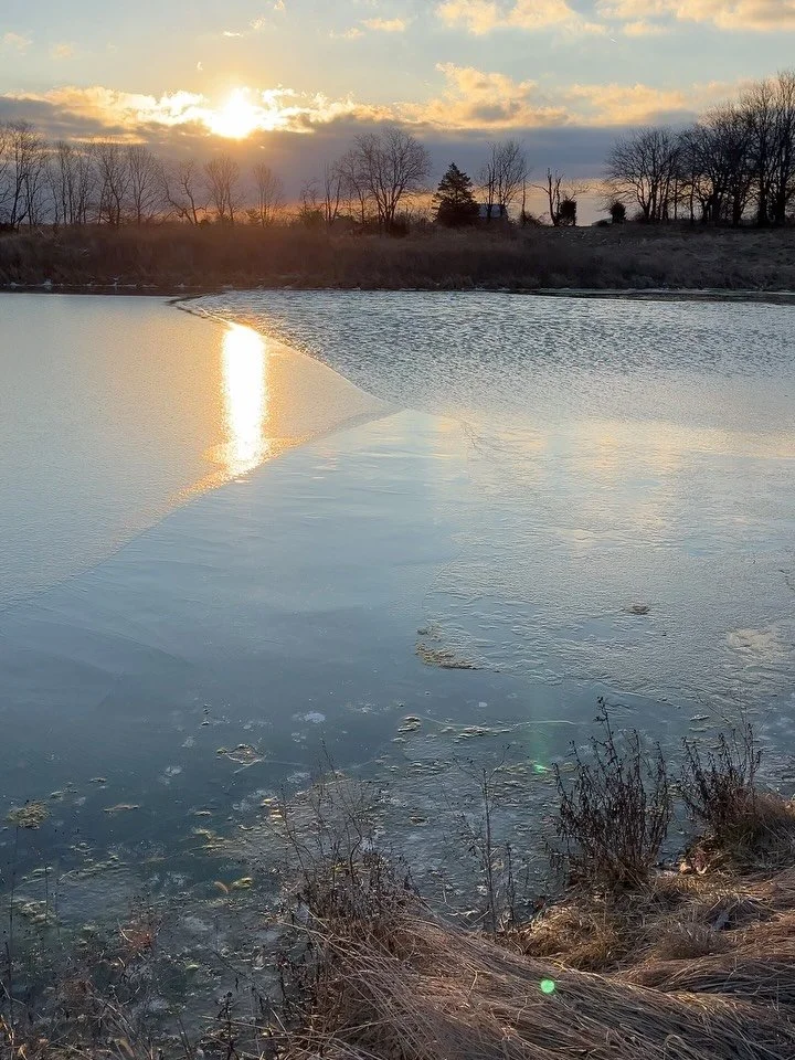 Half frozen pond after sunrise. So stunning.
