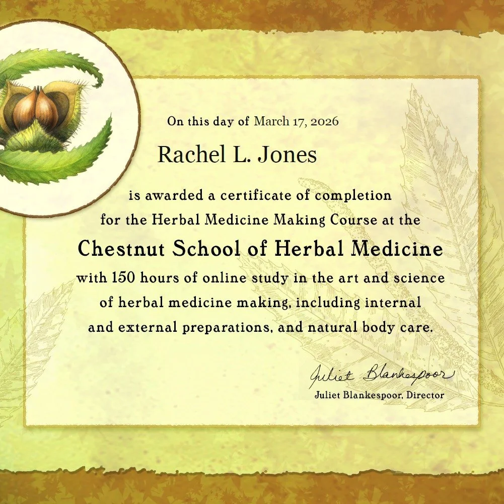 Excited to have completed my course in Herbal Medicine Making through the Chestnut School of Herbal Medicine!