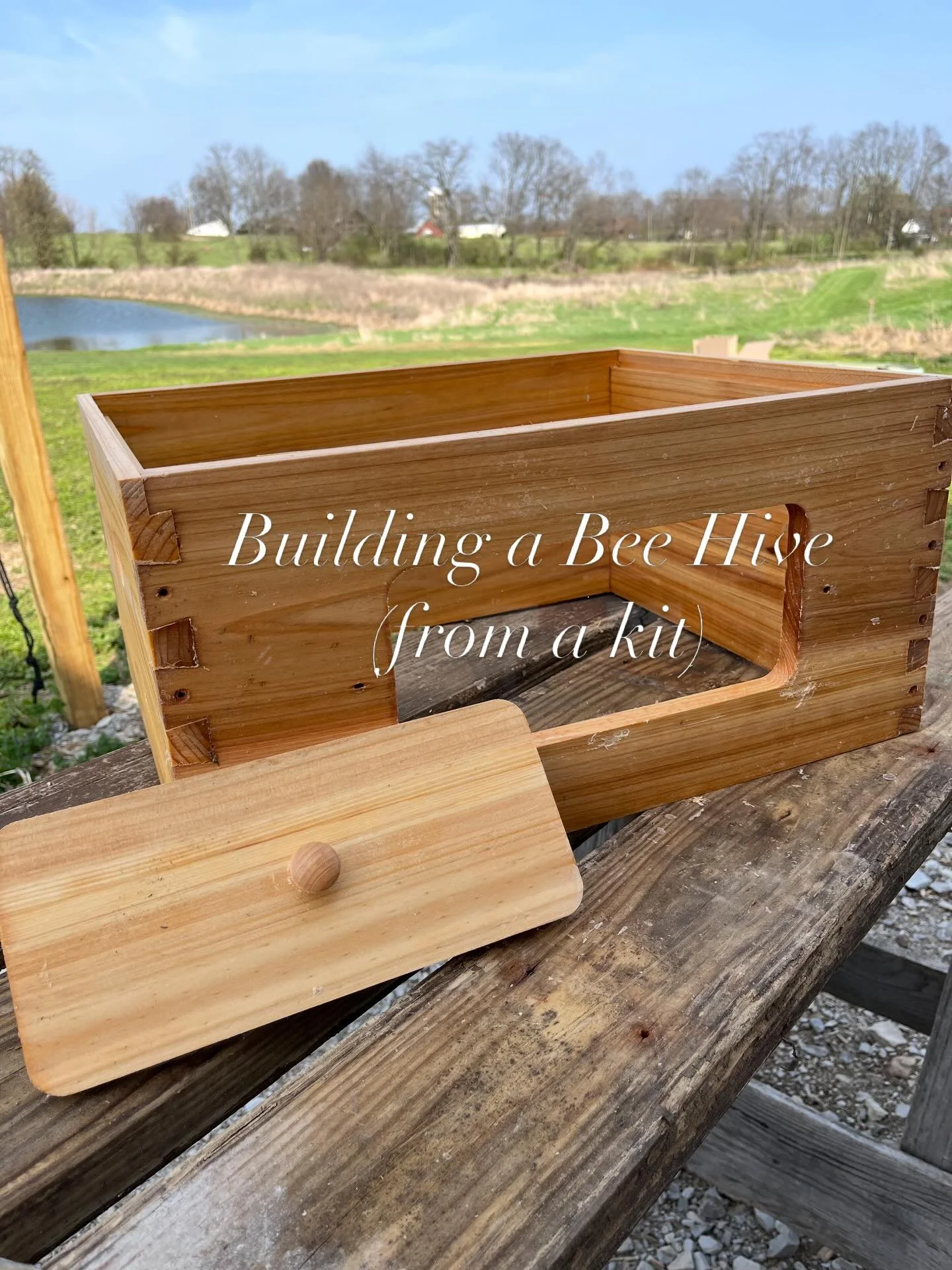 I have been building a bee hive (from a kit, of course!) this week. I am excited to try my hand at bee keeping this year and have been putting the boxes and frames together. I have been wanting to keep bees for a number of years and am grateful to no