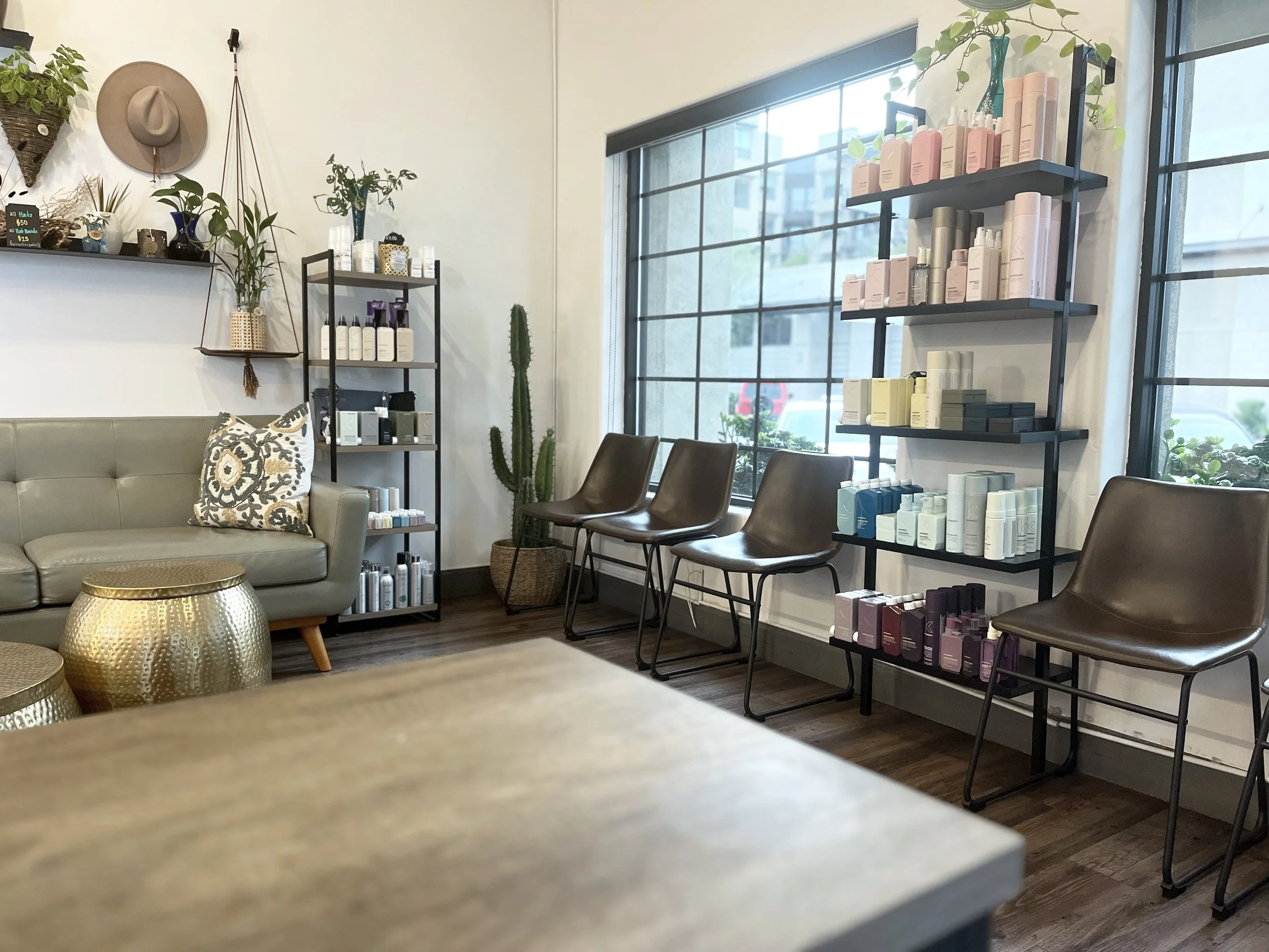 Stray Salon