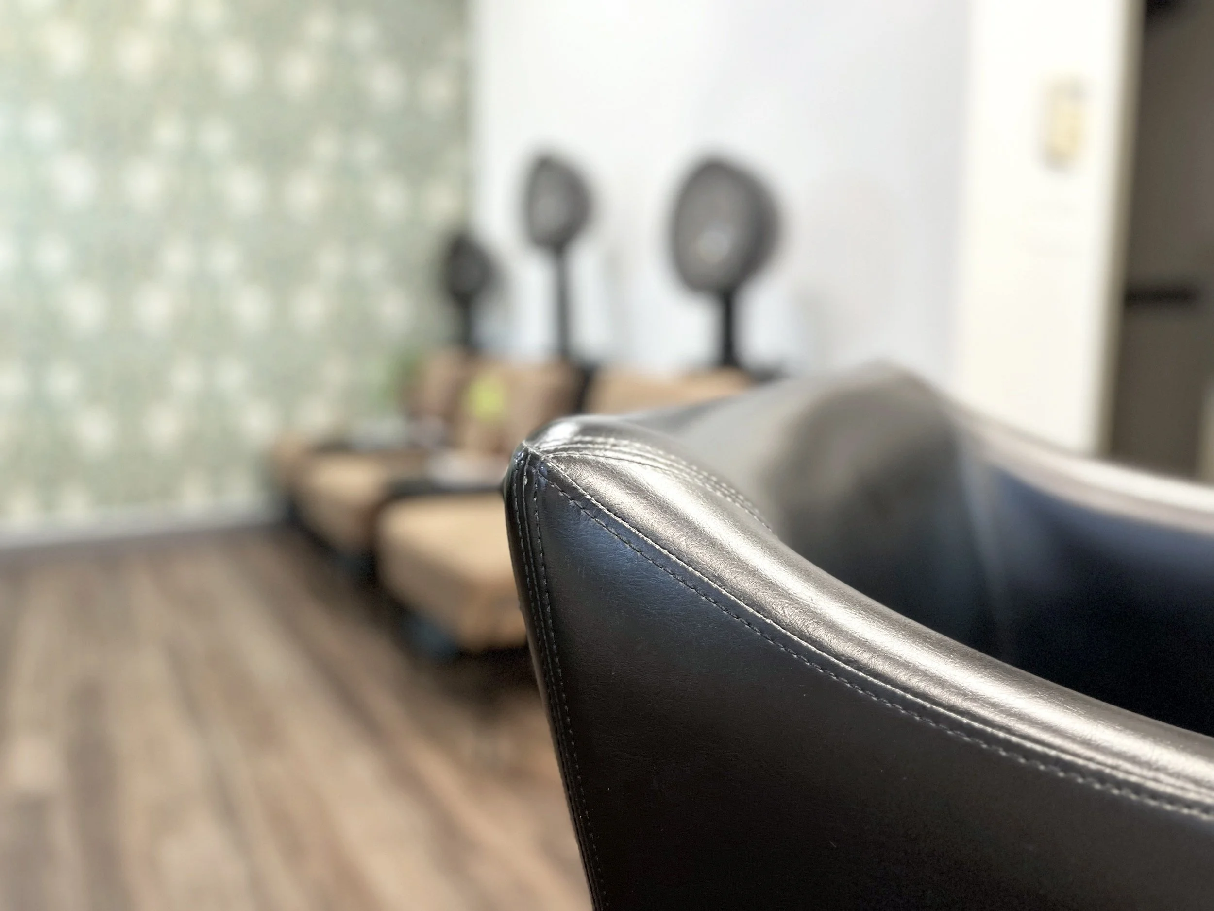 Stray Salon