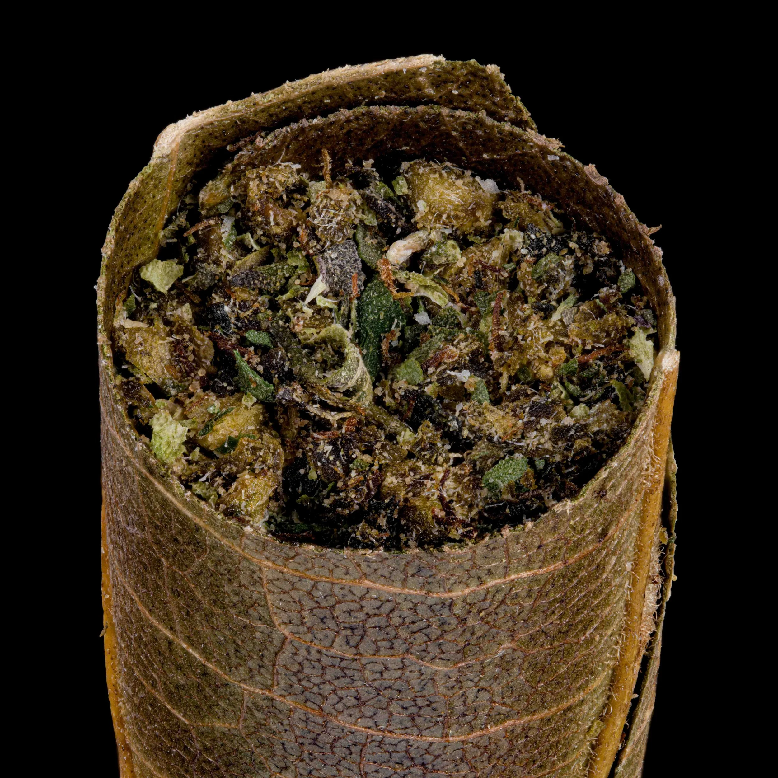 blunt-Edit.jpg