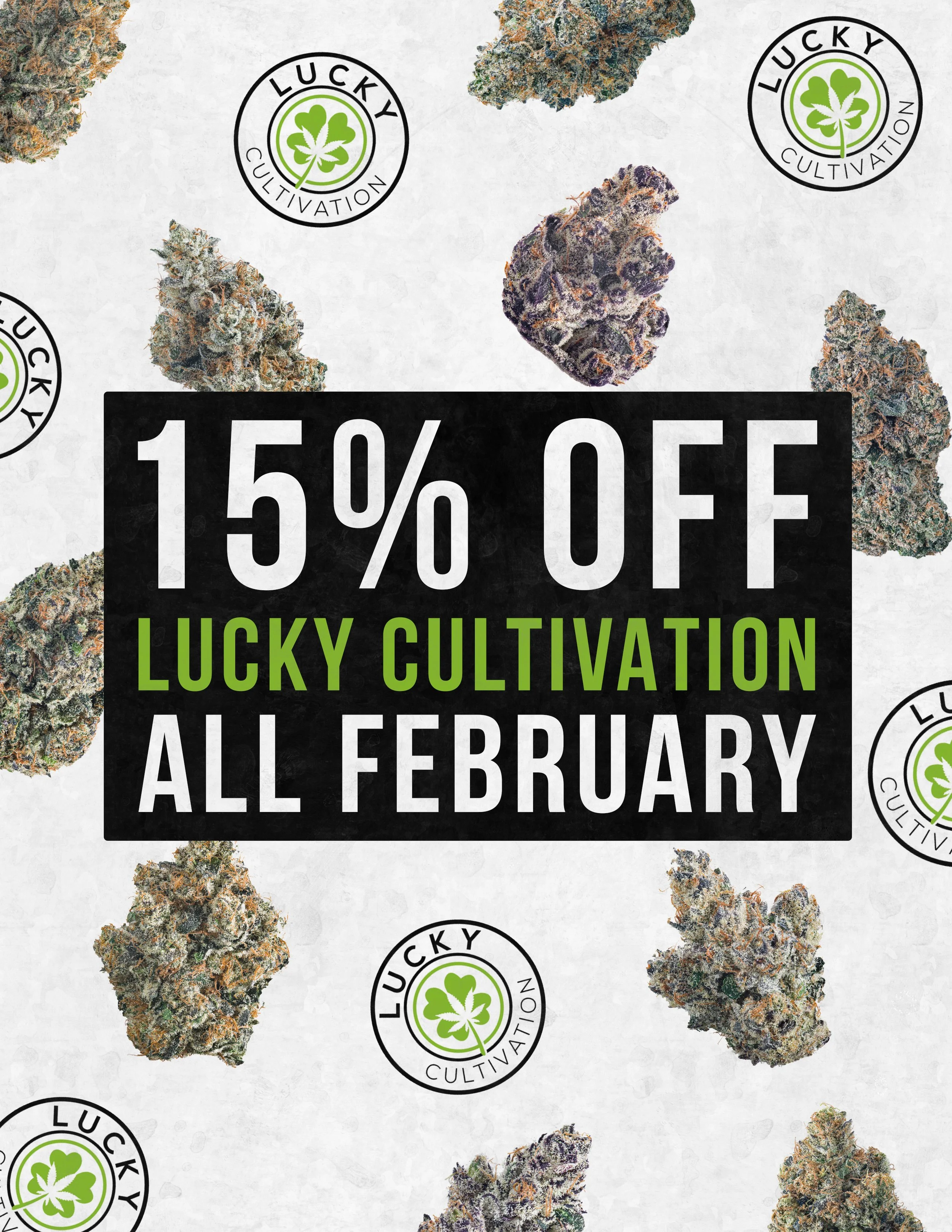 Lucky February Flyer.jpg