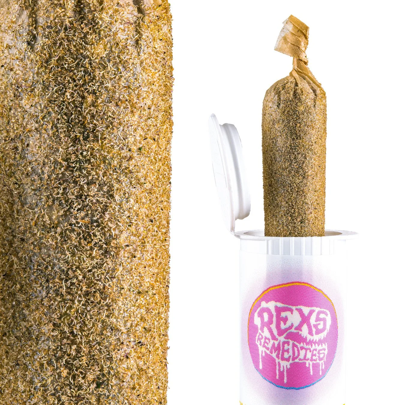 rexs.jpg