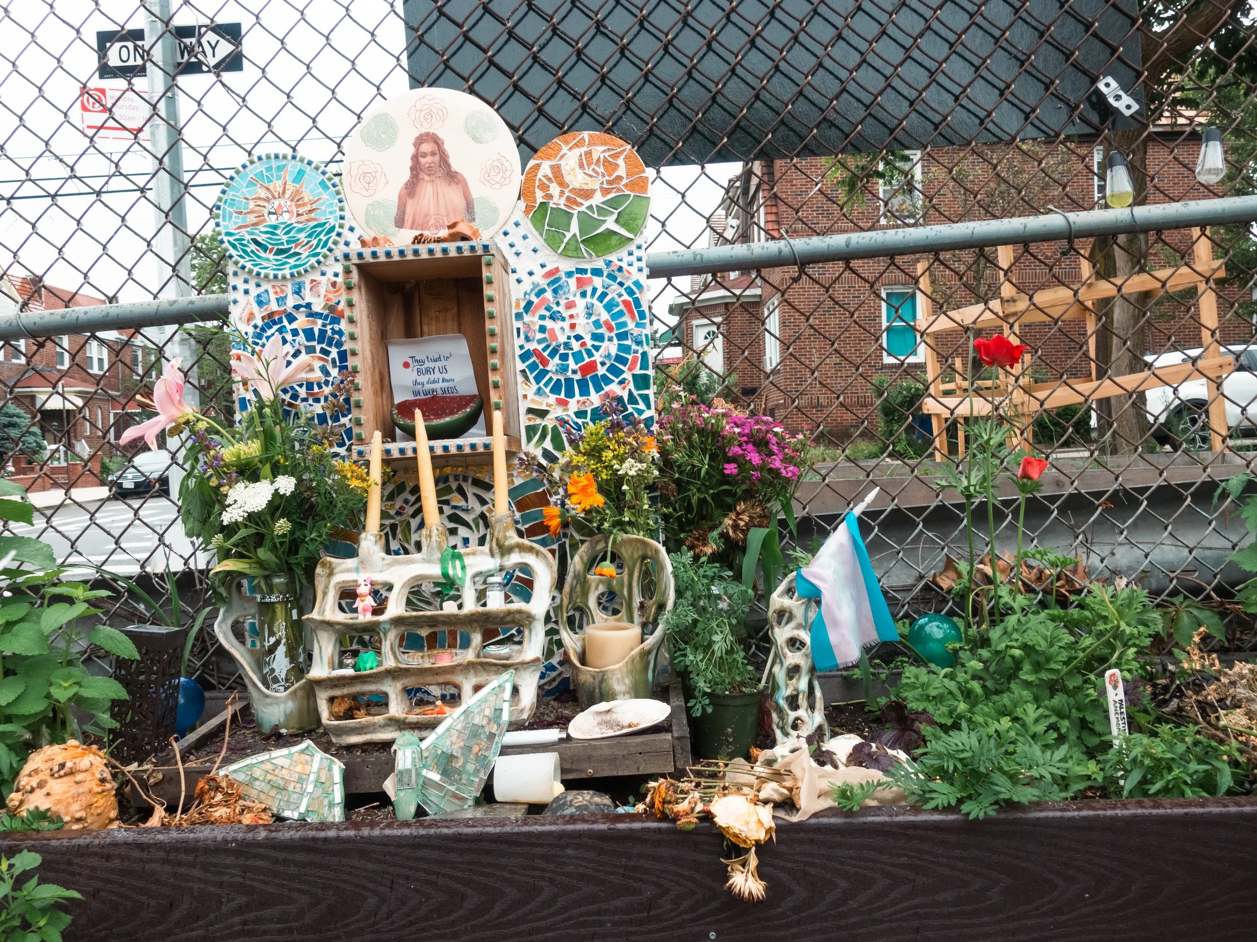 DSC02403-2.jpg