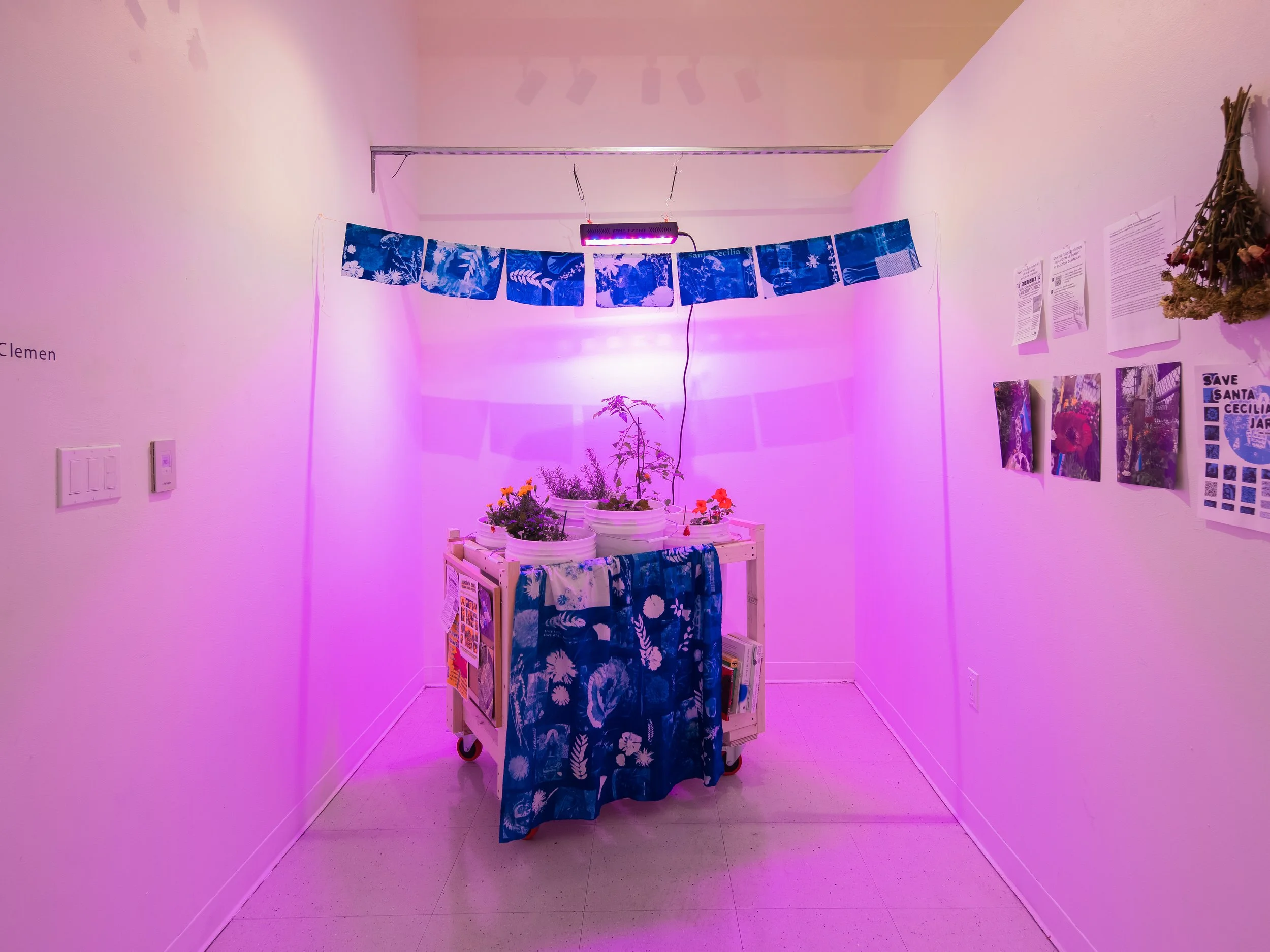 SVA Bio Art Residency_Genna_Clemer_03.jpg