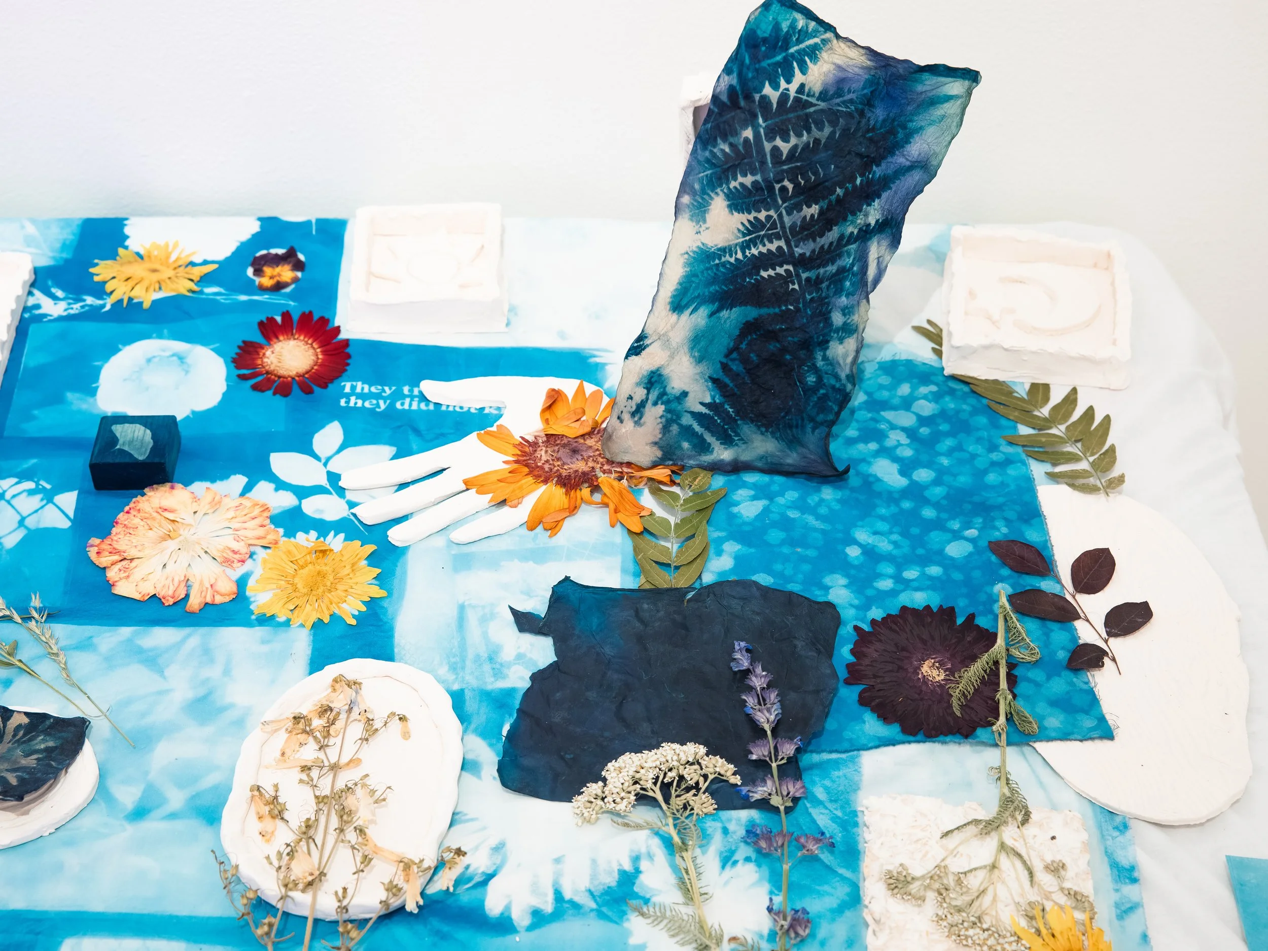 SVA Bio Art Residency_Genna_Clemer_15.jpg