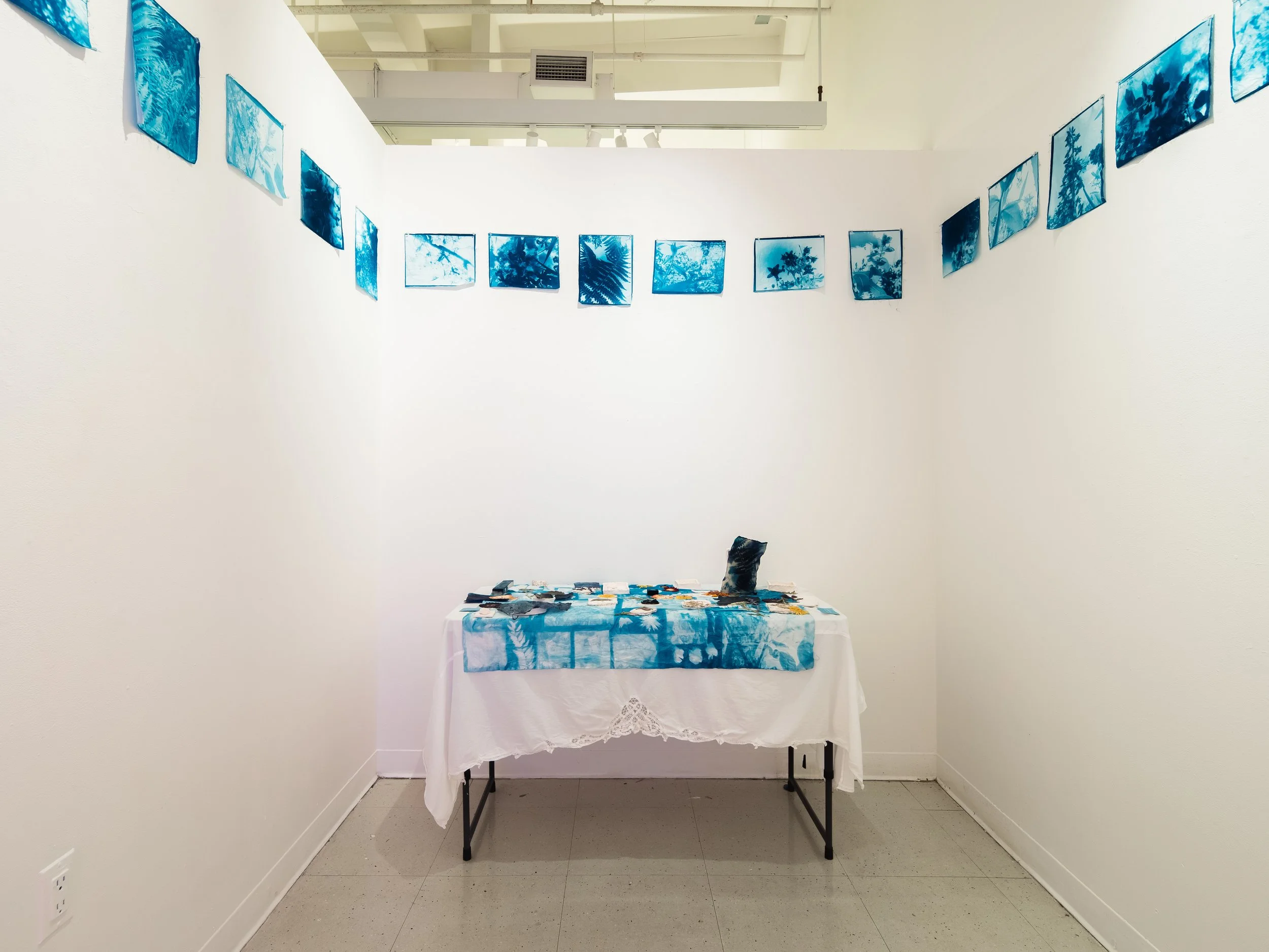 SVA Bio Art Residency_Genna_Clemer_11.jpg