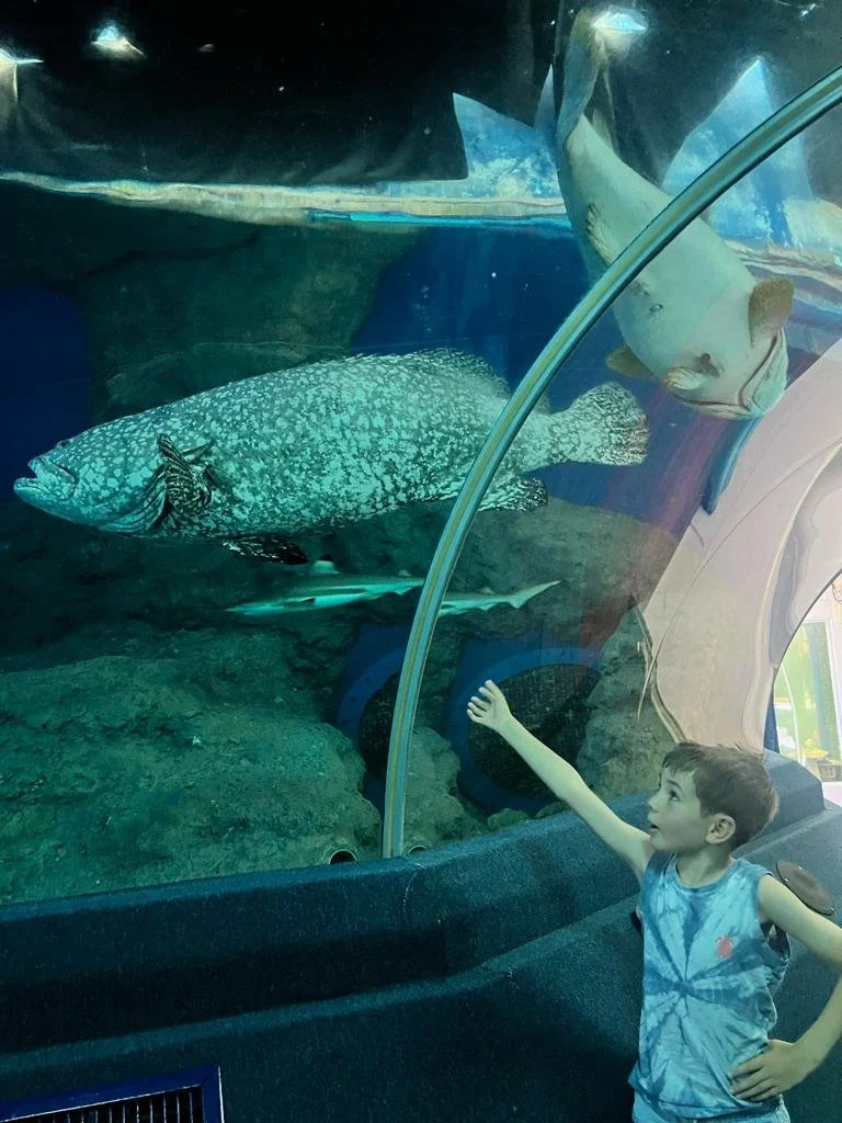 The aquarium in Pattaya was surprisingly decent!