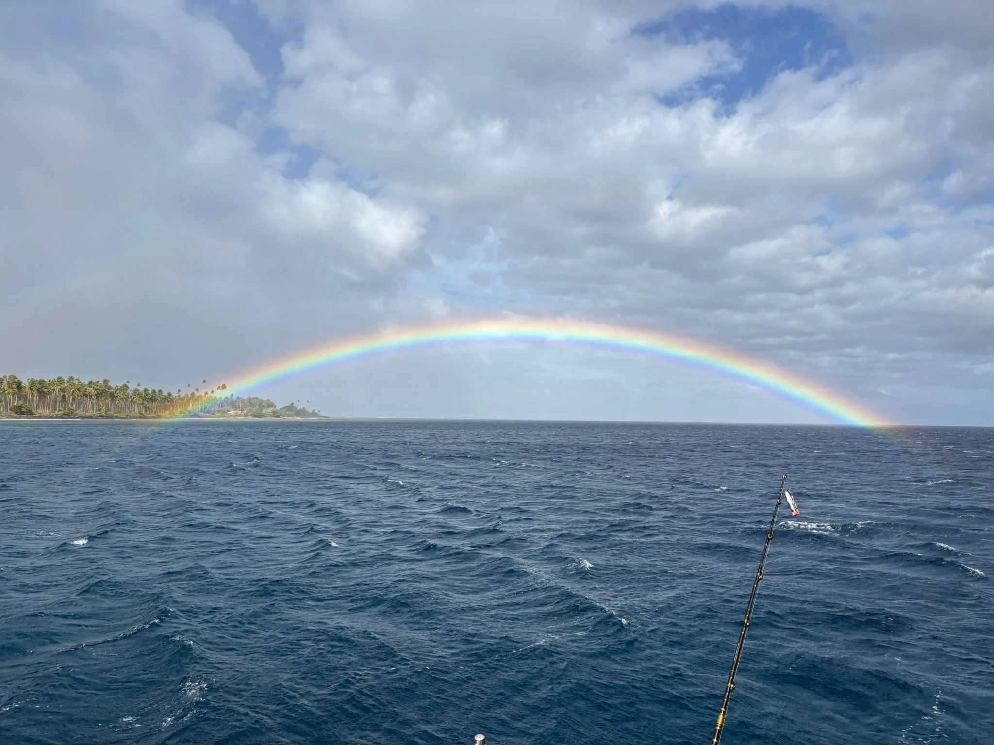 WhatsApp Image 2025-06-20 at 12.31.50.jpeg