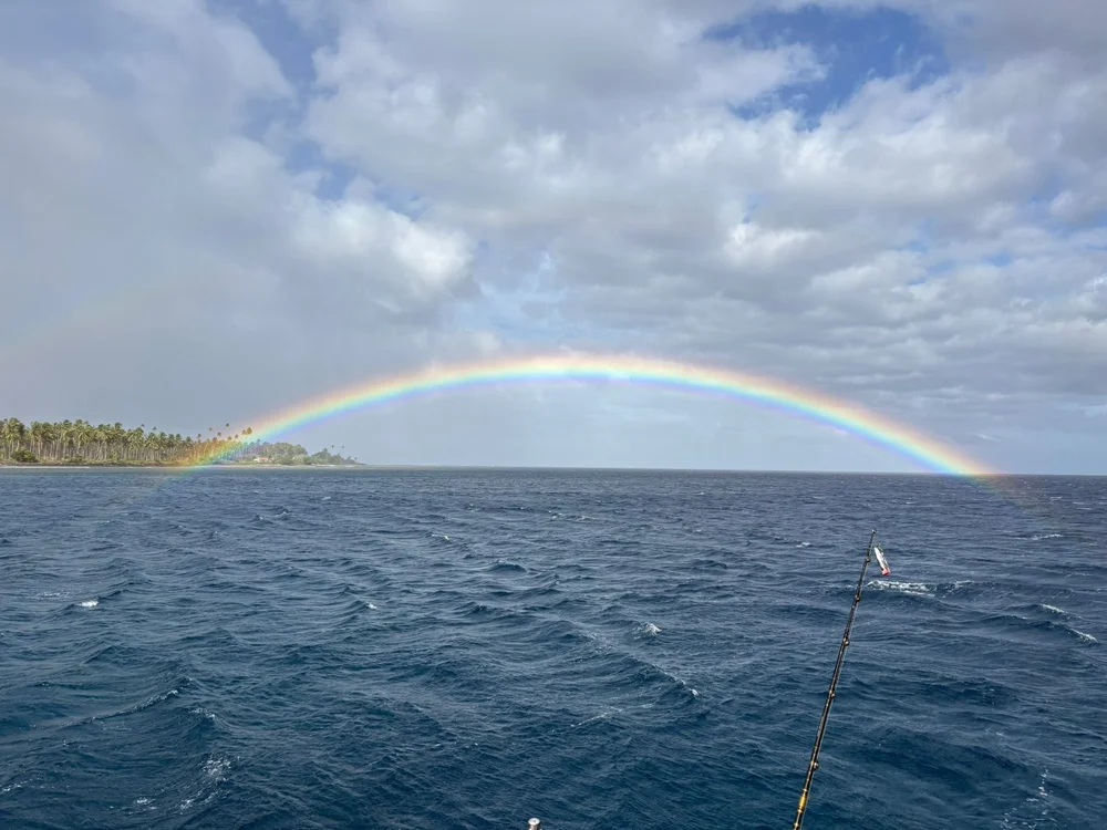 WhatsApp Image 2025-06-20 at 12.31.50.jpeg