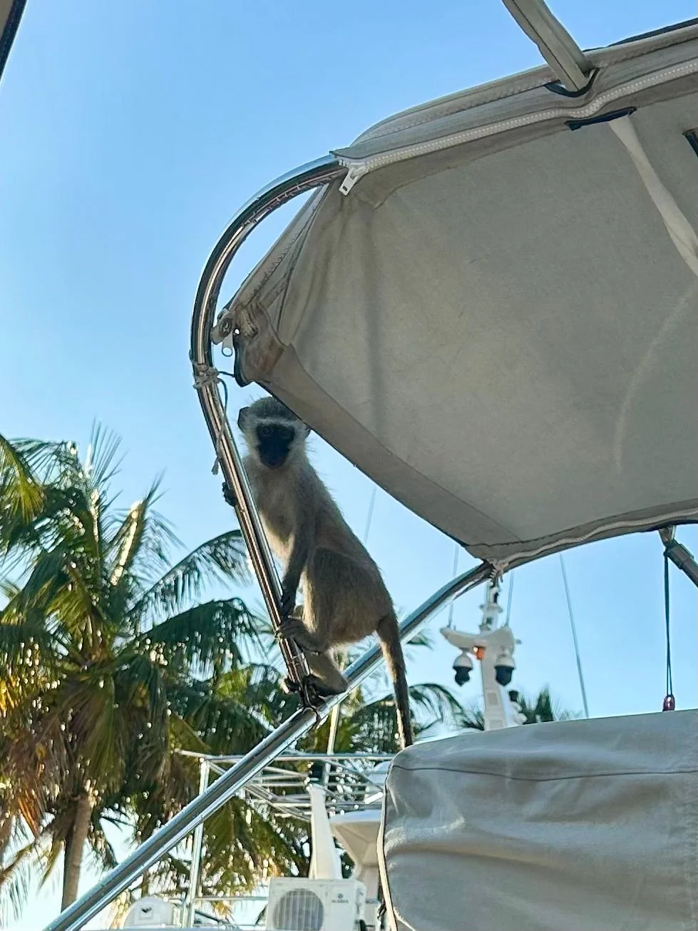 WhatsApp Image 2025-11-19 at 21.23.01.jpeg