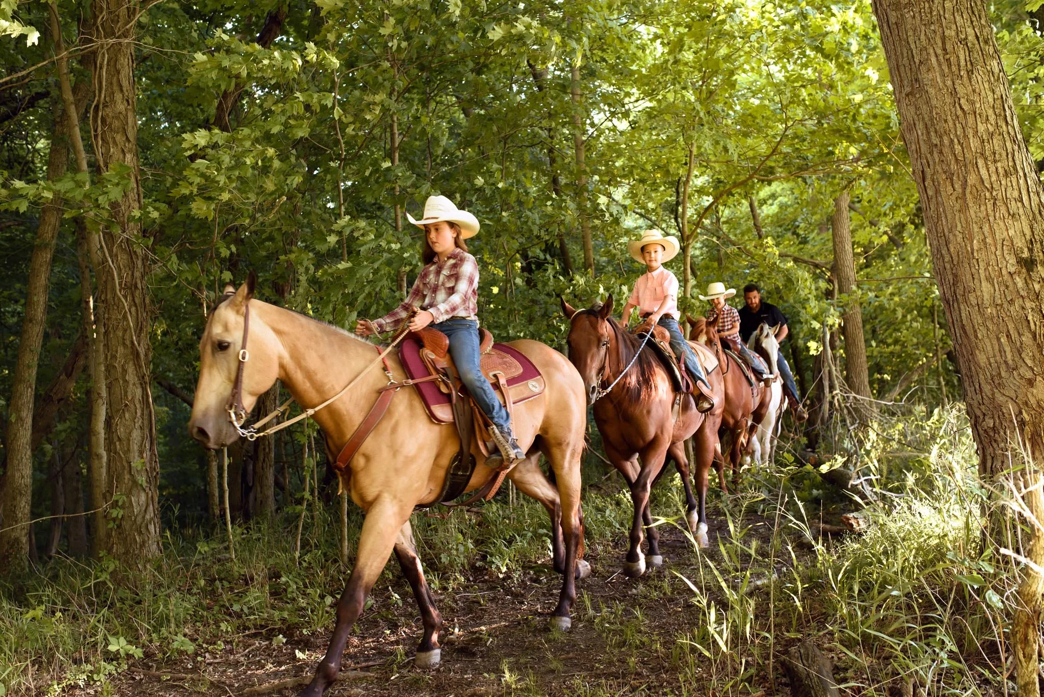 Horse Riding Trails in Carroll County, Indiana
