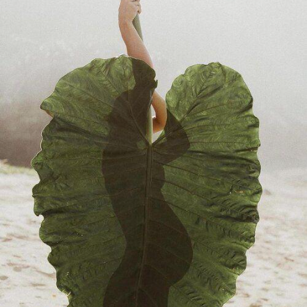 When Life Breaks You Open: A Therapist on Healing What Still Hurts