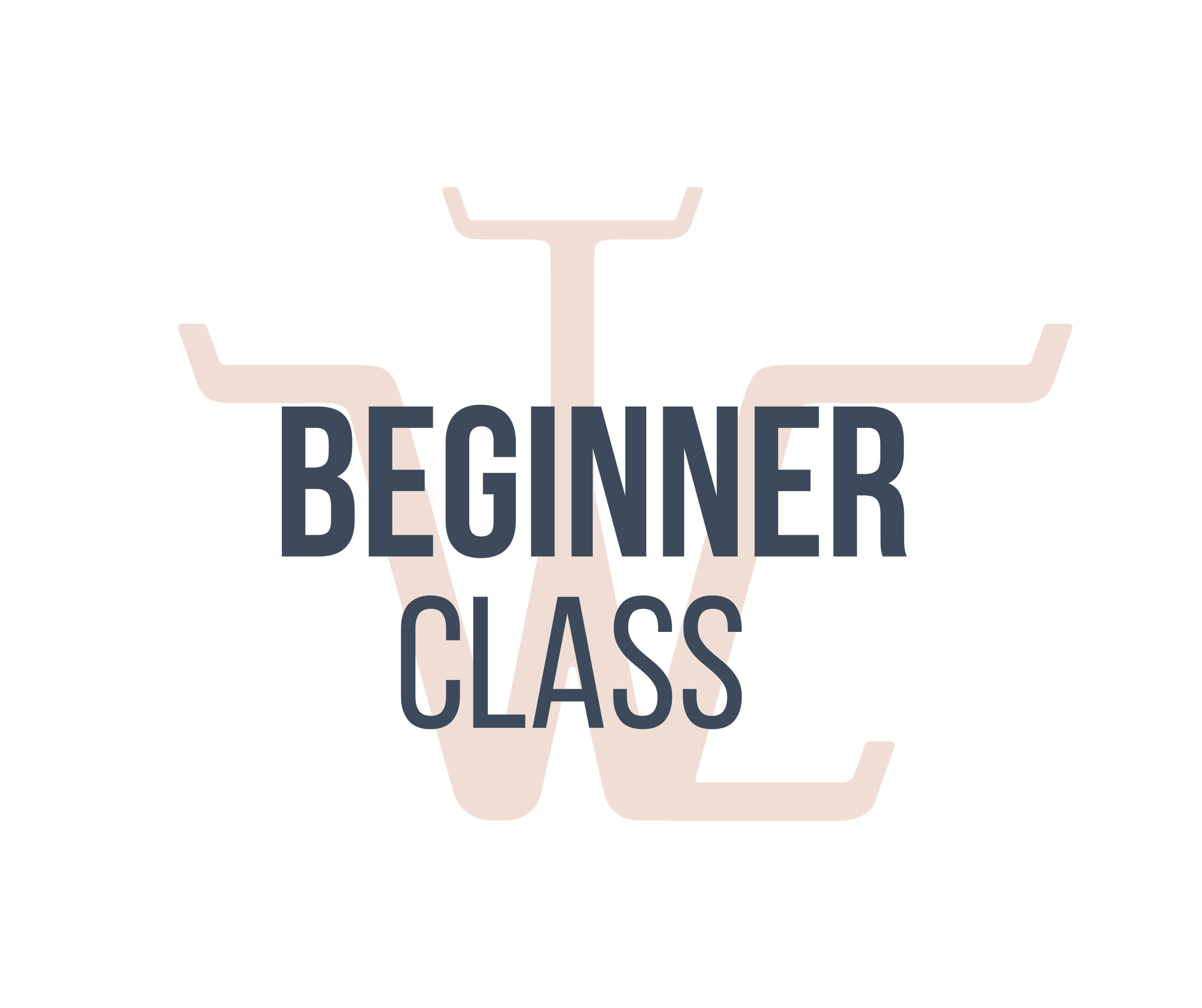 Beginner Class Series