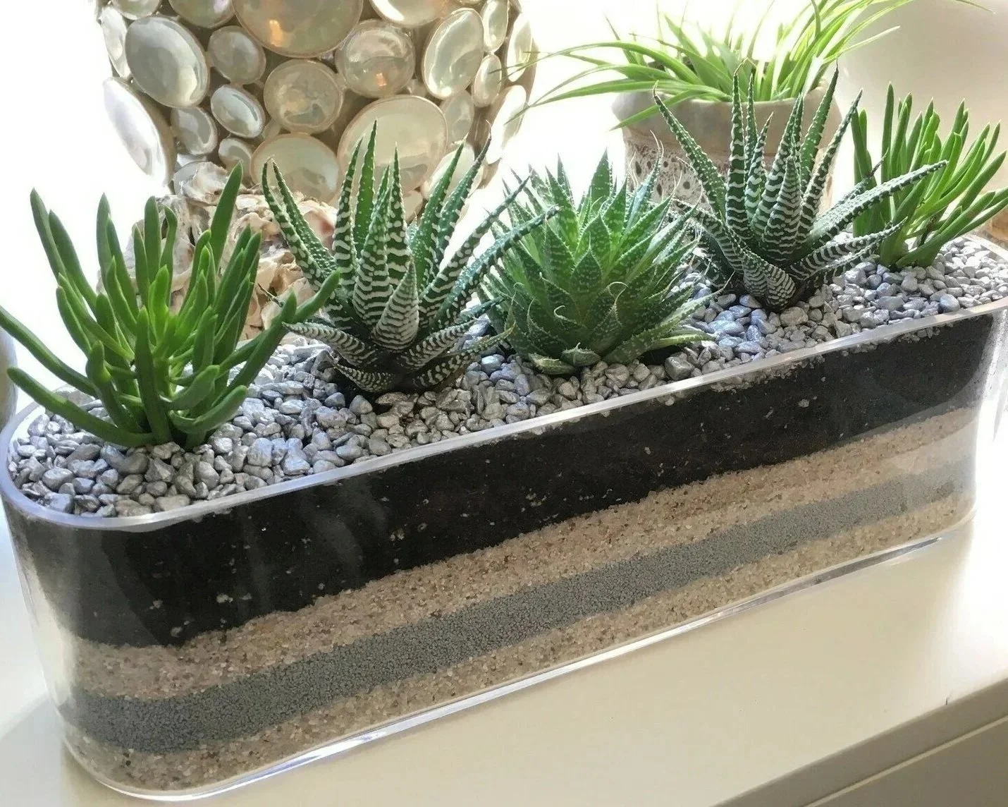 Signature Succulent Planter