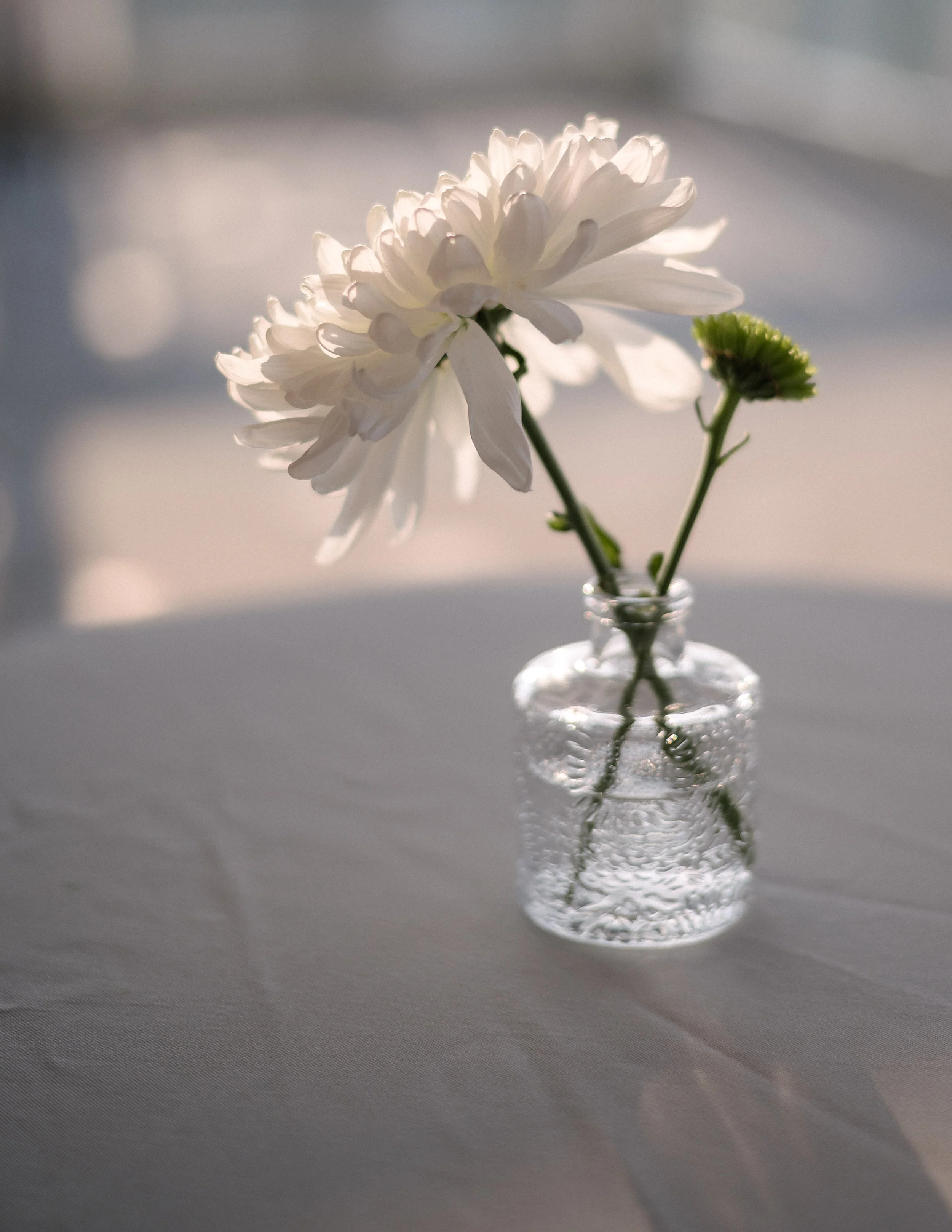 A single white flower in a small textured glass jar on a white table, with soft sunlight illuminating it.