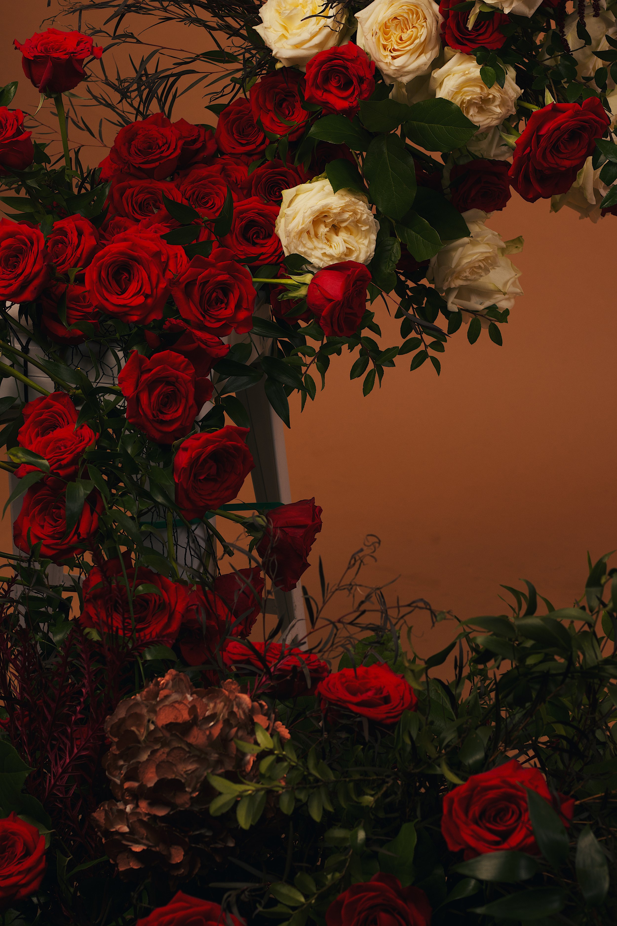 CFEFF15E-85B9-442D-9797-A6FAA7DF6036.jpeg