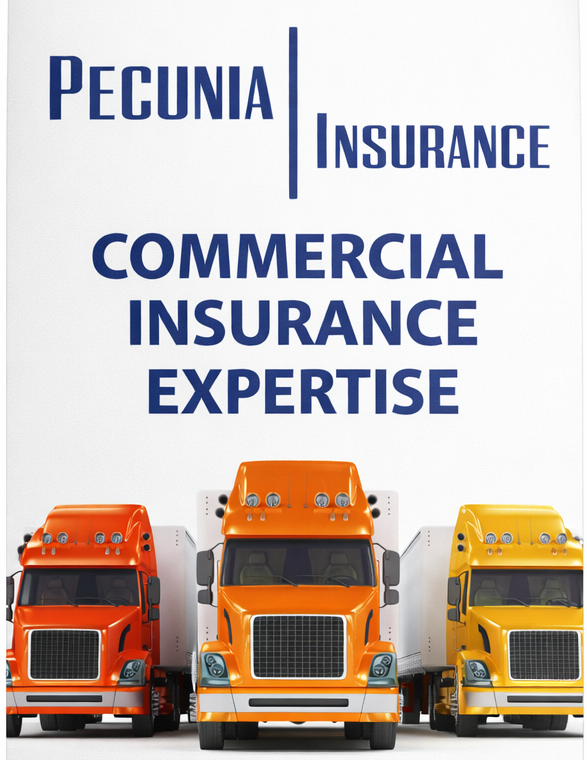 Pecunia%2BInsurance%2Bcommercial%2Bbanner%2Bdesign%2B%25281%2529.png