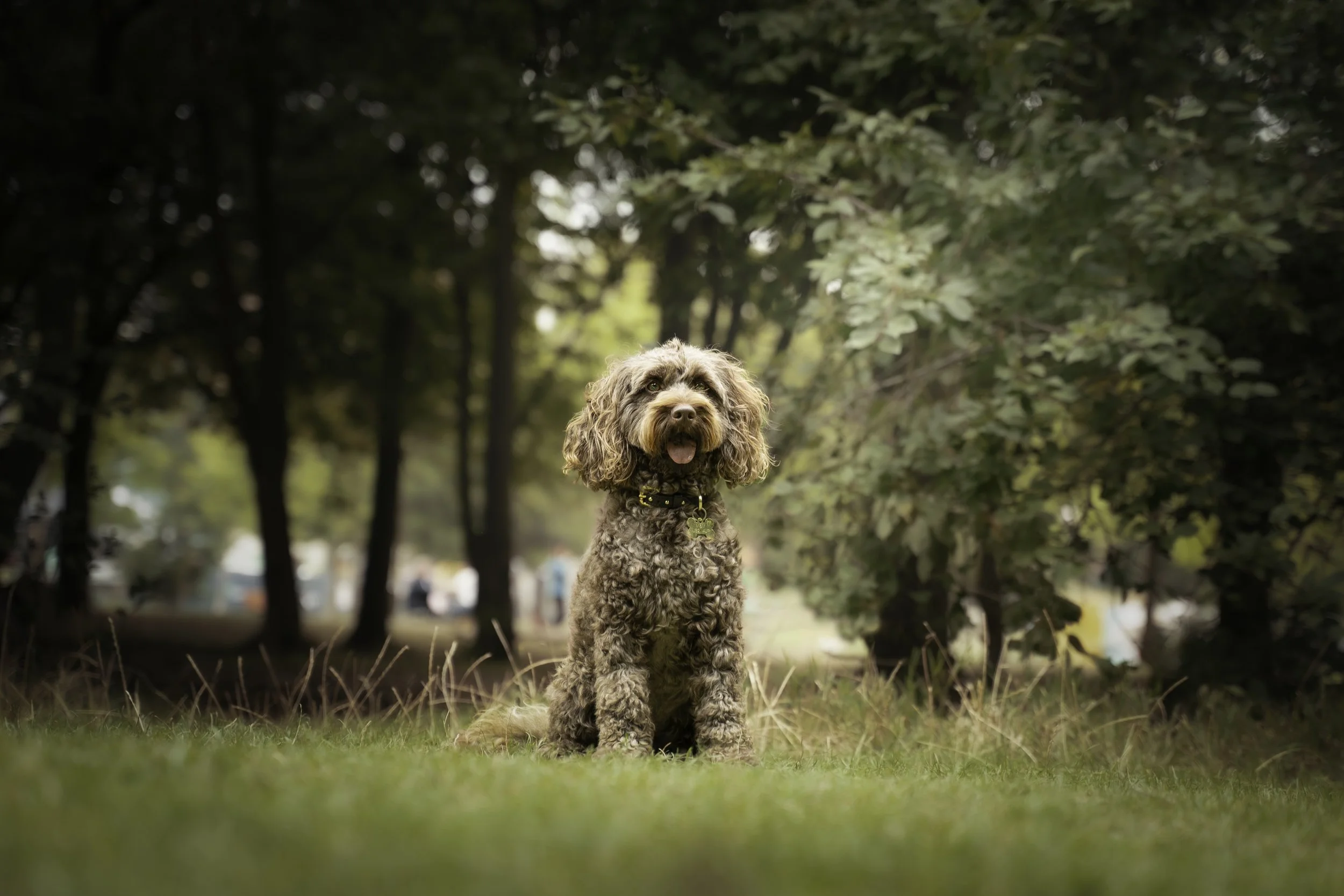 8.Misty_3.jpg