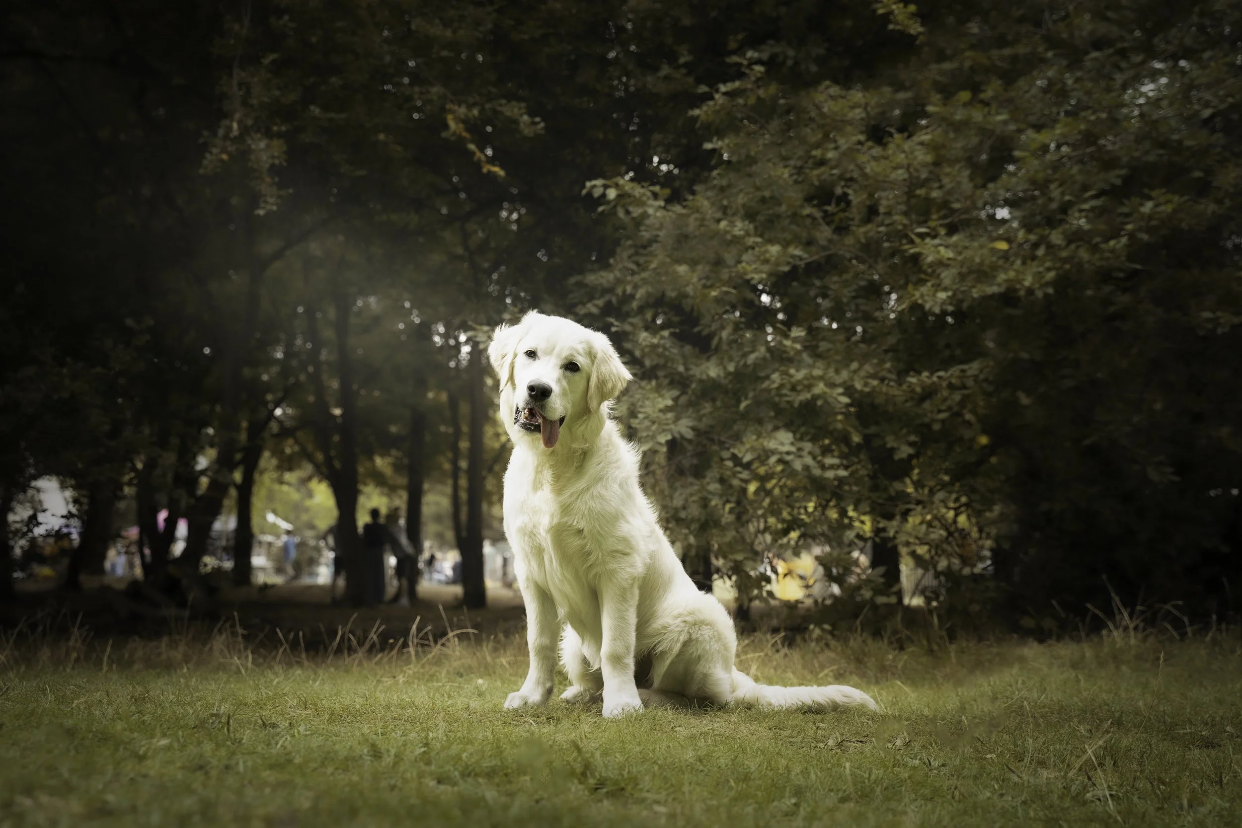 29.Murphy_2.jpg