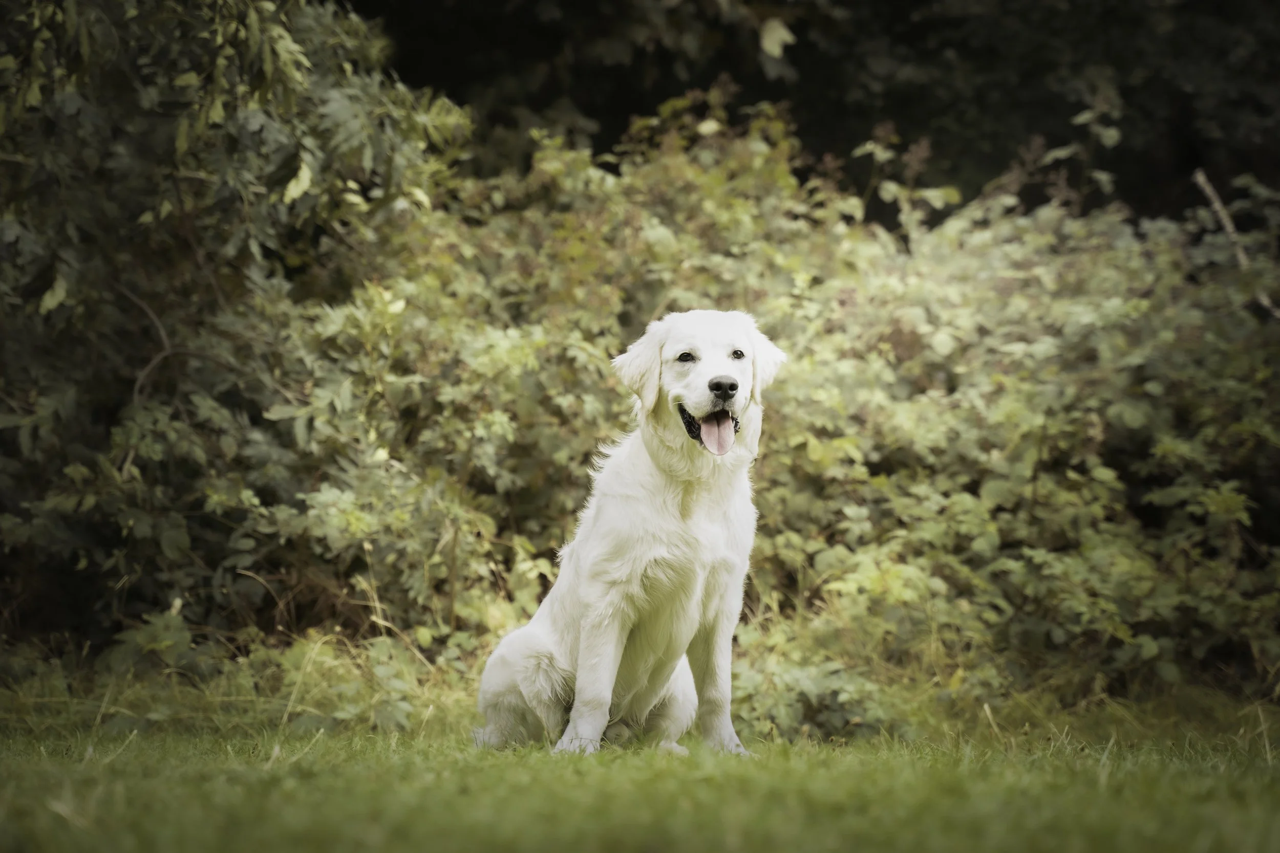 31.Murphy_4.jpg