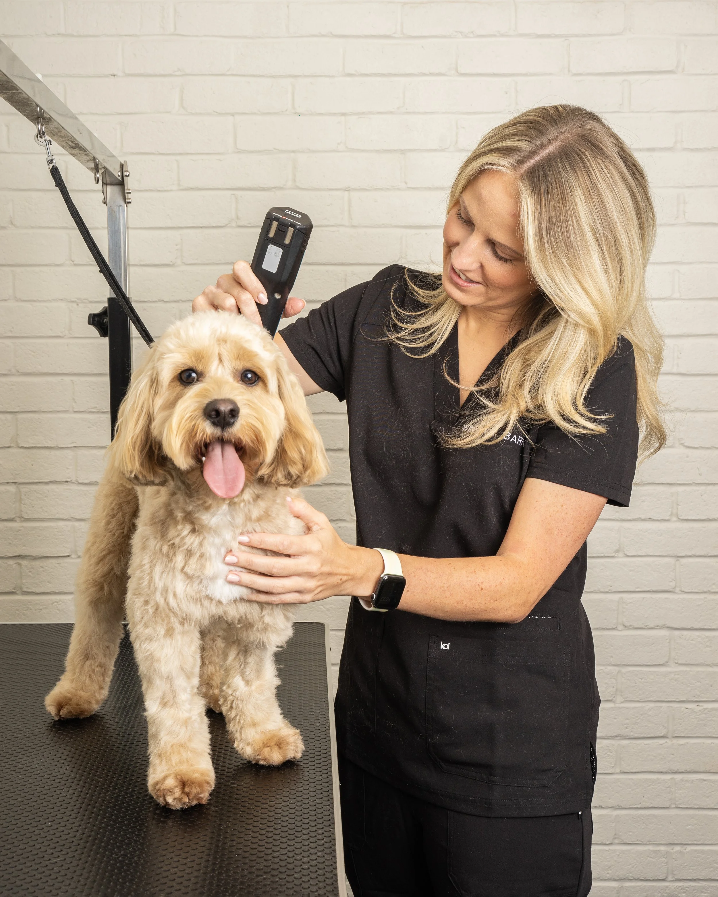 A woman grooming a light-colored dog on a grooming table in a grooming salon with white brick walls.