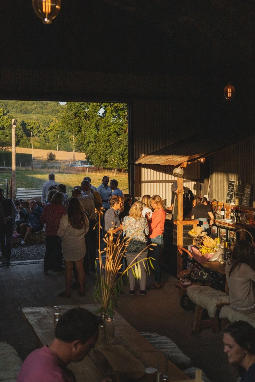 Hollycombe Home Farm Open Day
