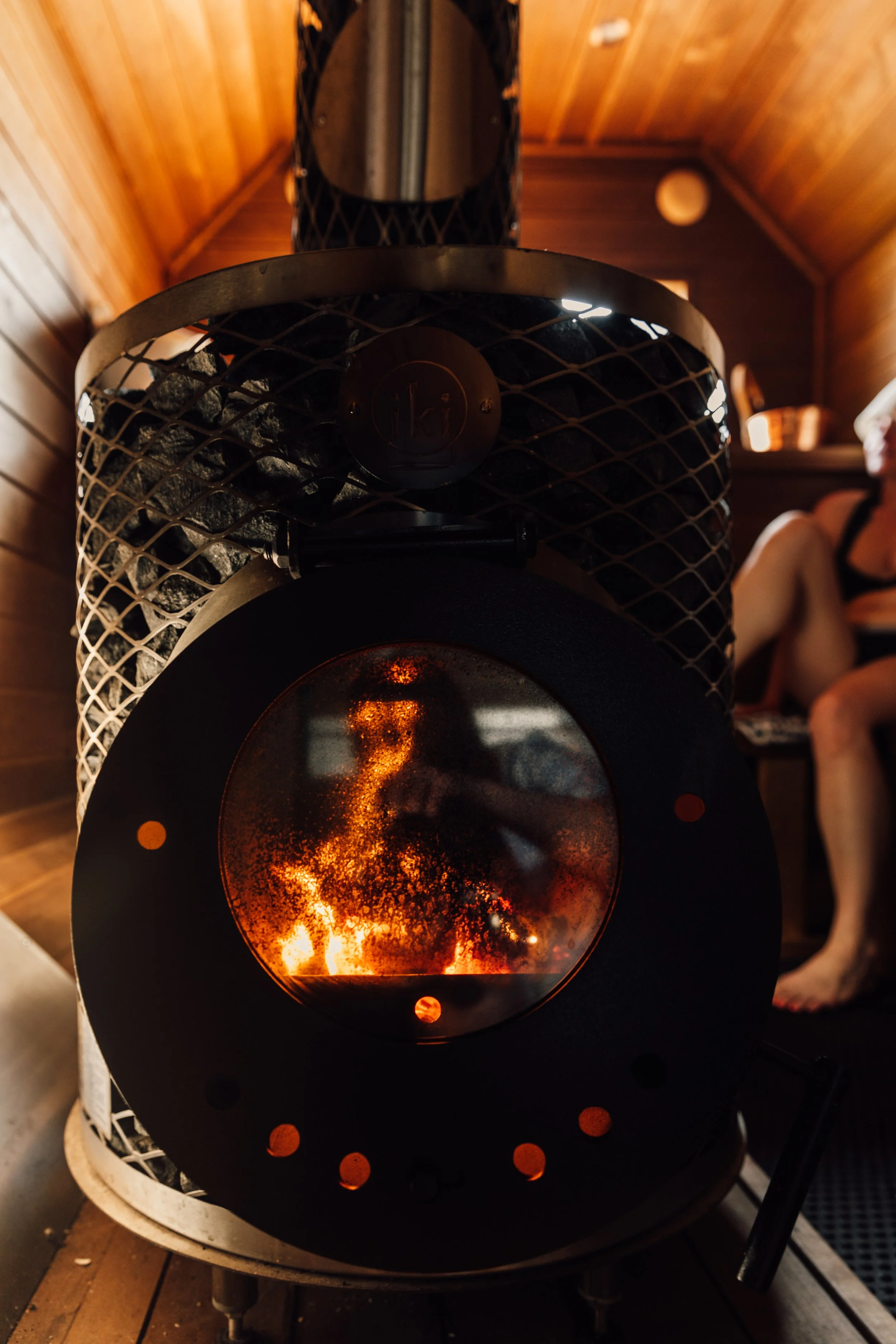 Foraging, Wild Food Meal and Wood-Fired Sauna Experience