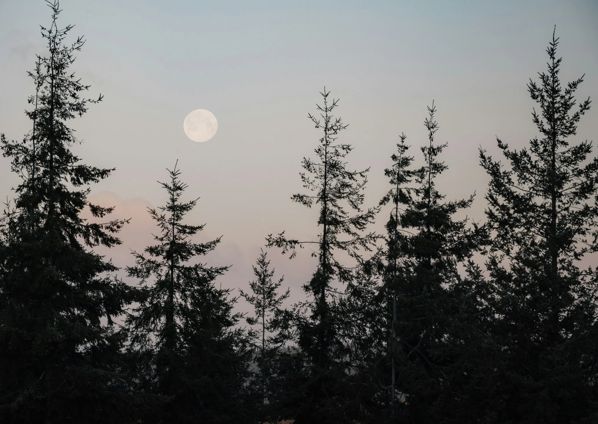 May Blue Moon Moonlight Mushroom Course and Folklore Stories